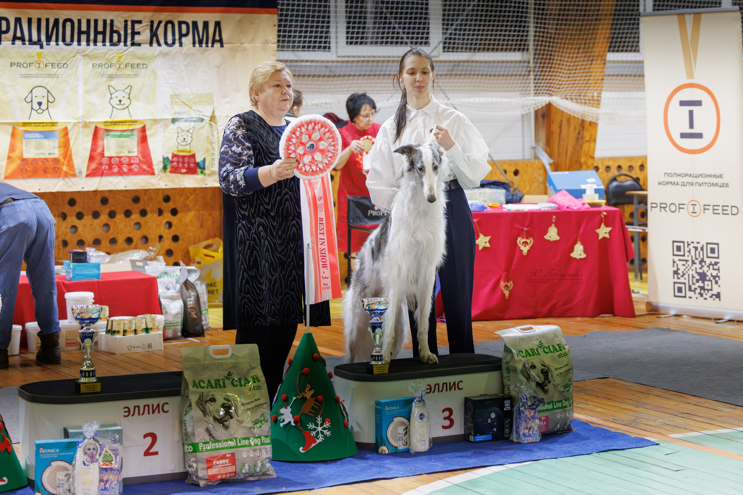 Тверь 21.12.2025. Фотограф-анималист Юлия Германика