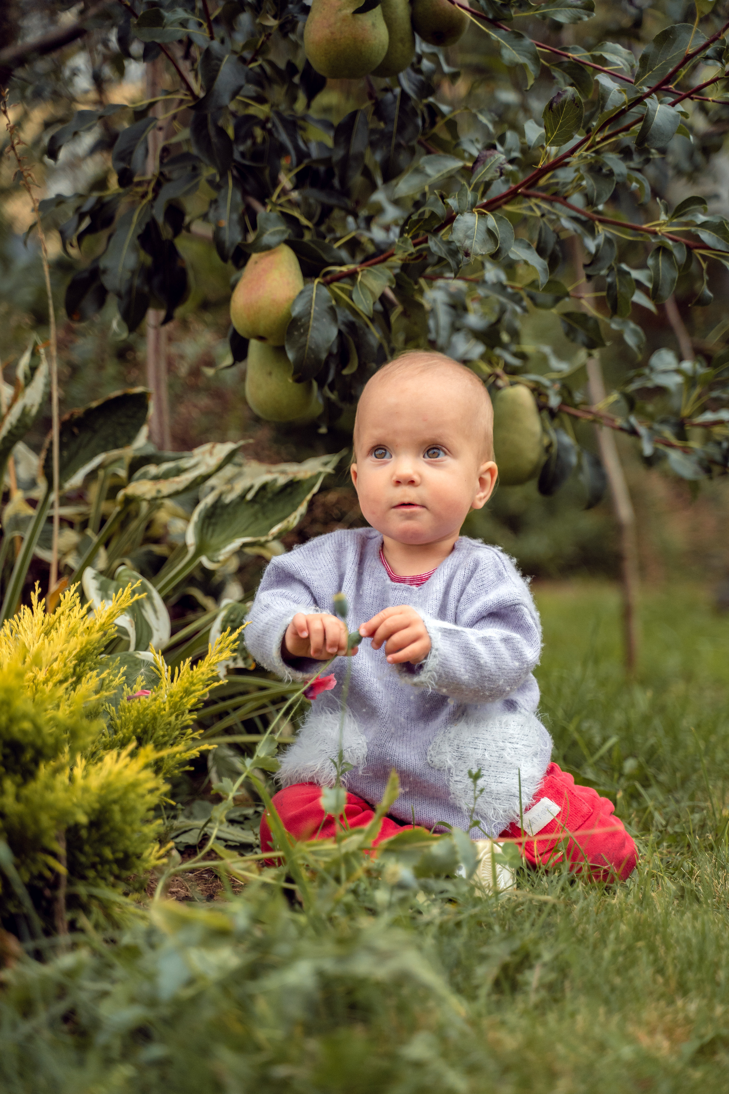 HAPPY BIRTHDAY 1 YEAR. Family Photographer Ksenia Kos