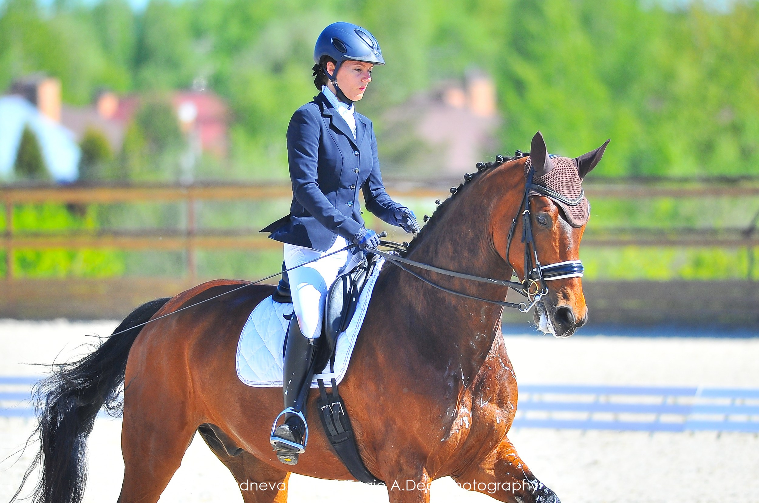 Кубок Истринского городского округа по выездке —18 мая 2024. ТУРНИРНАЯ КОННАЯ ФОТОГРАФИЯ, Руднева Ольга и Евгений Адеев