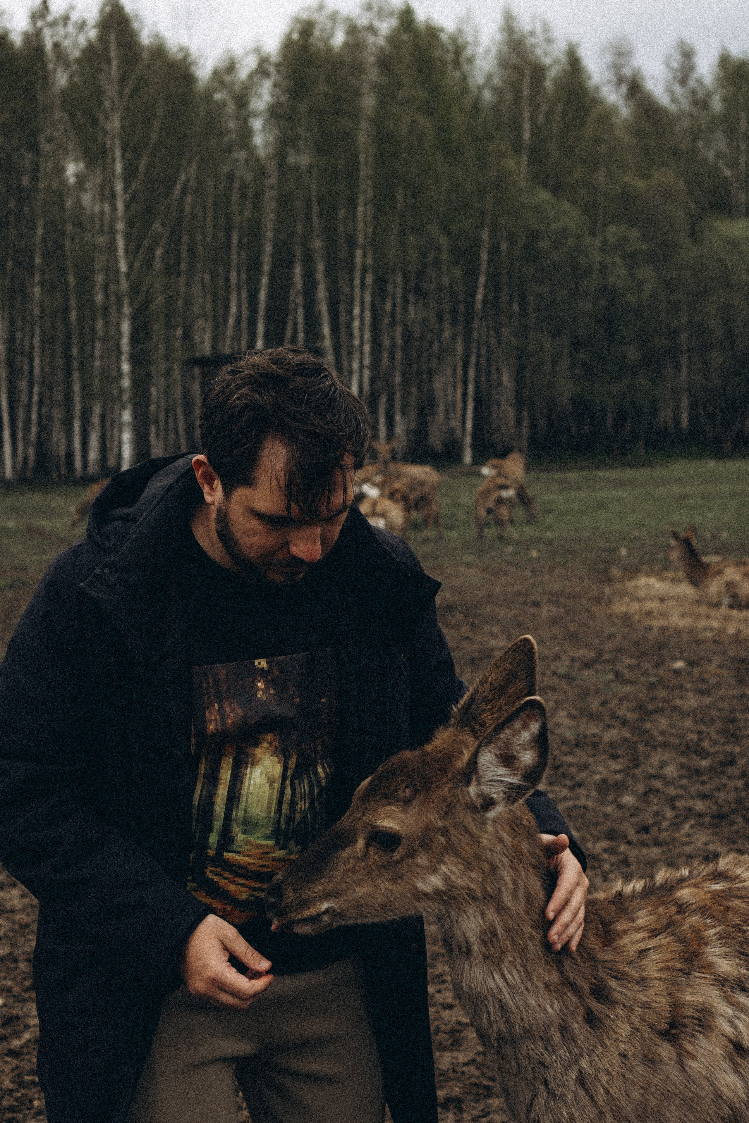 ОЛЕНЬЯ ФЕРМА В ТВЕРИ. Профессиональный фотограф, Санкт-Петербург — Виктория Богомолова