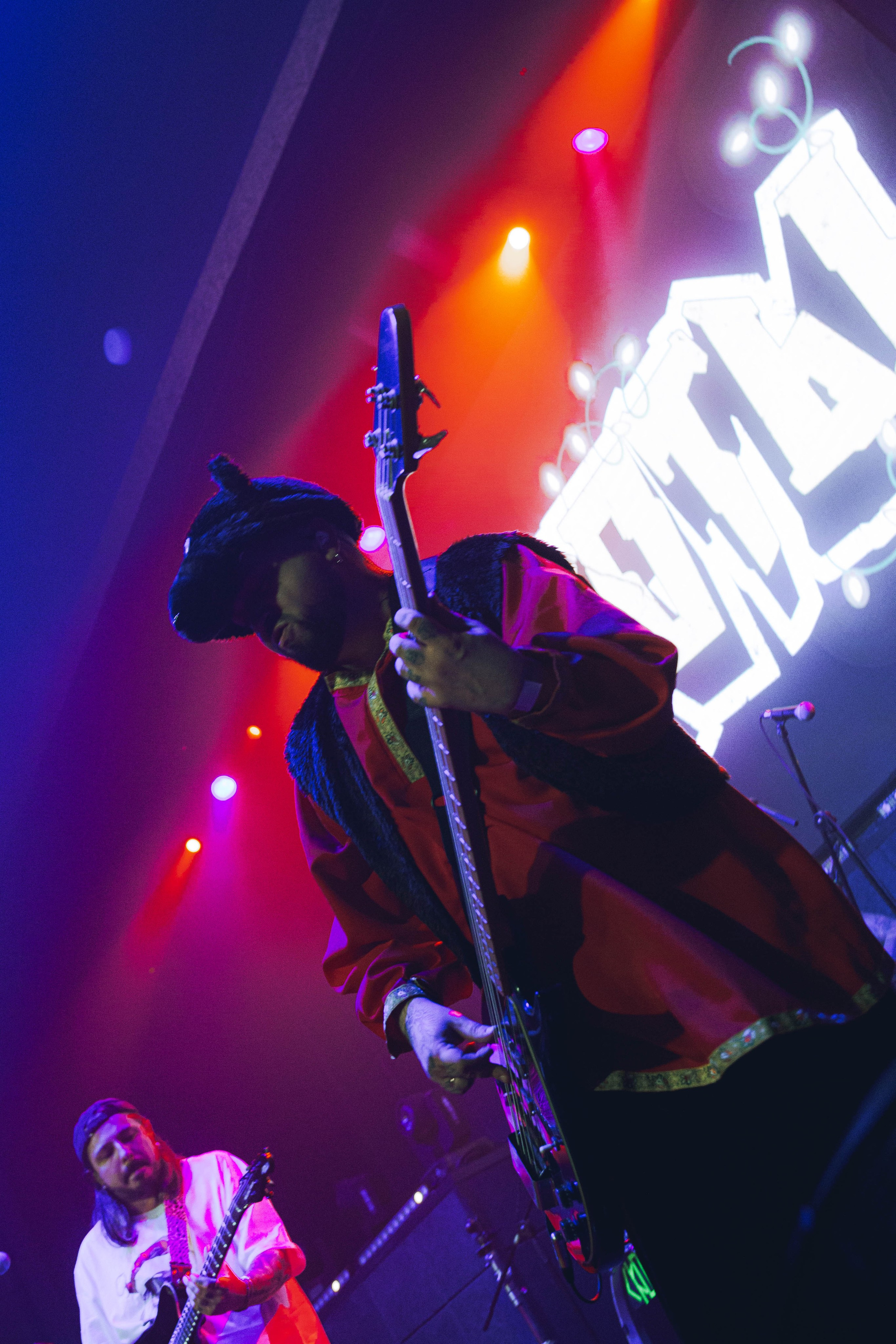 СКОТЫ 20.12.2025. Репортажный и портретный фотограф Михаил Мартиросян