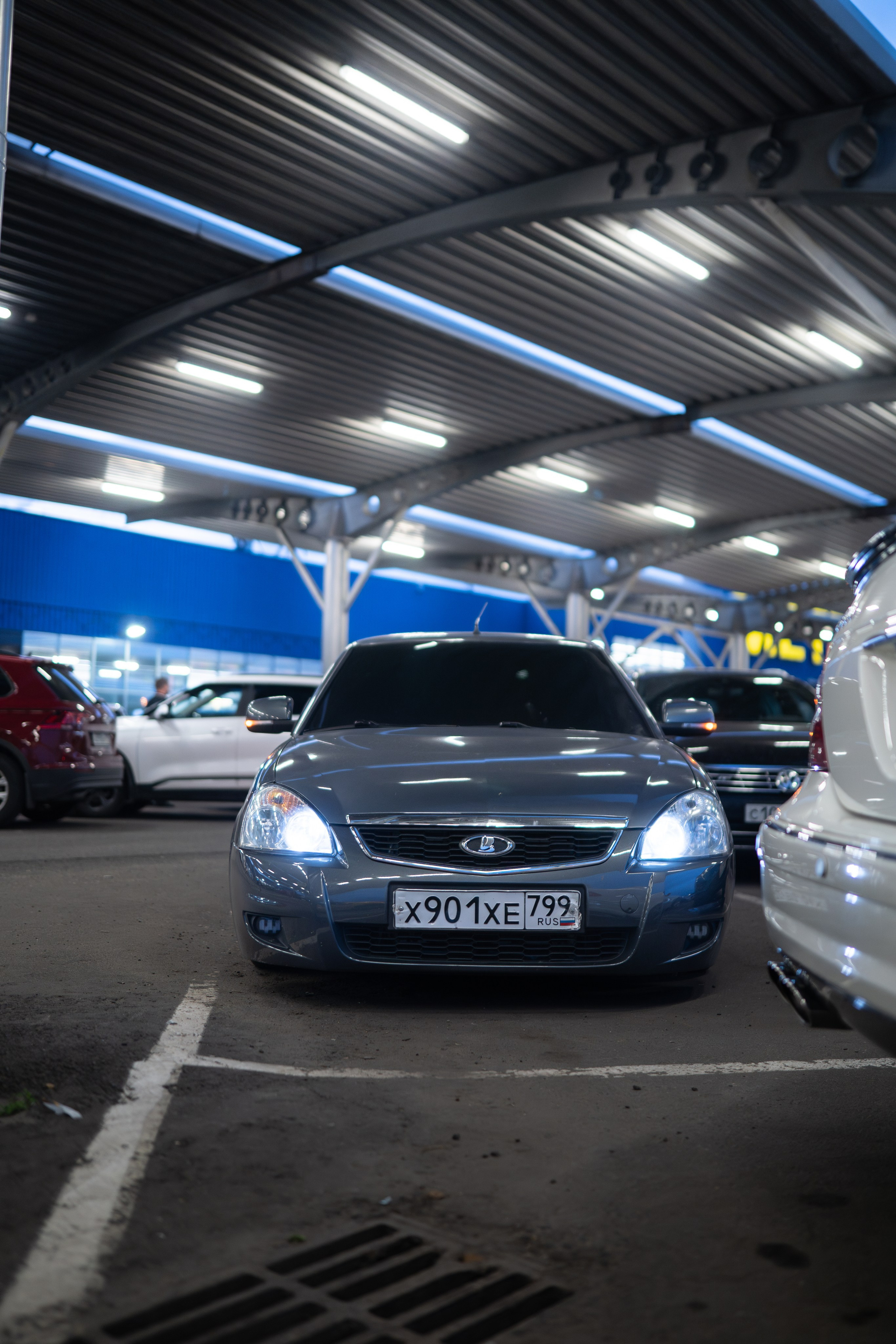 DOWNFLY | 13.07.2024. Mirllaev