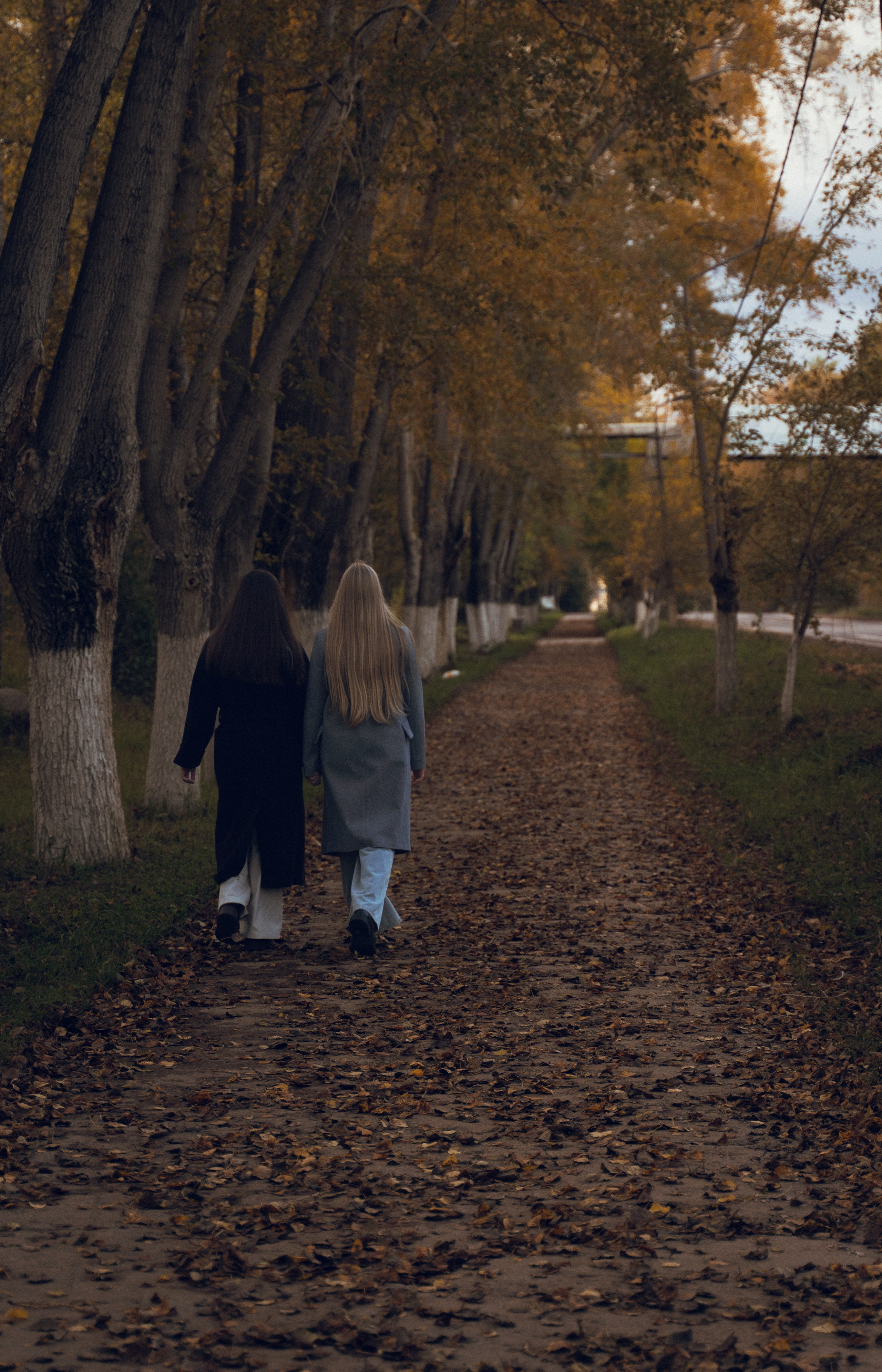 Портреты: Анна & Вероника. Фотограф Пикалево, Бокситогорск, Тихвин