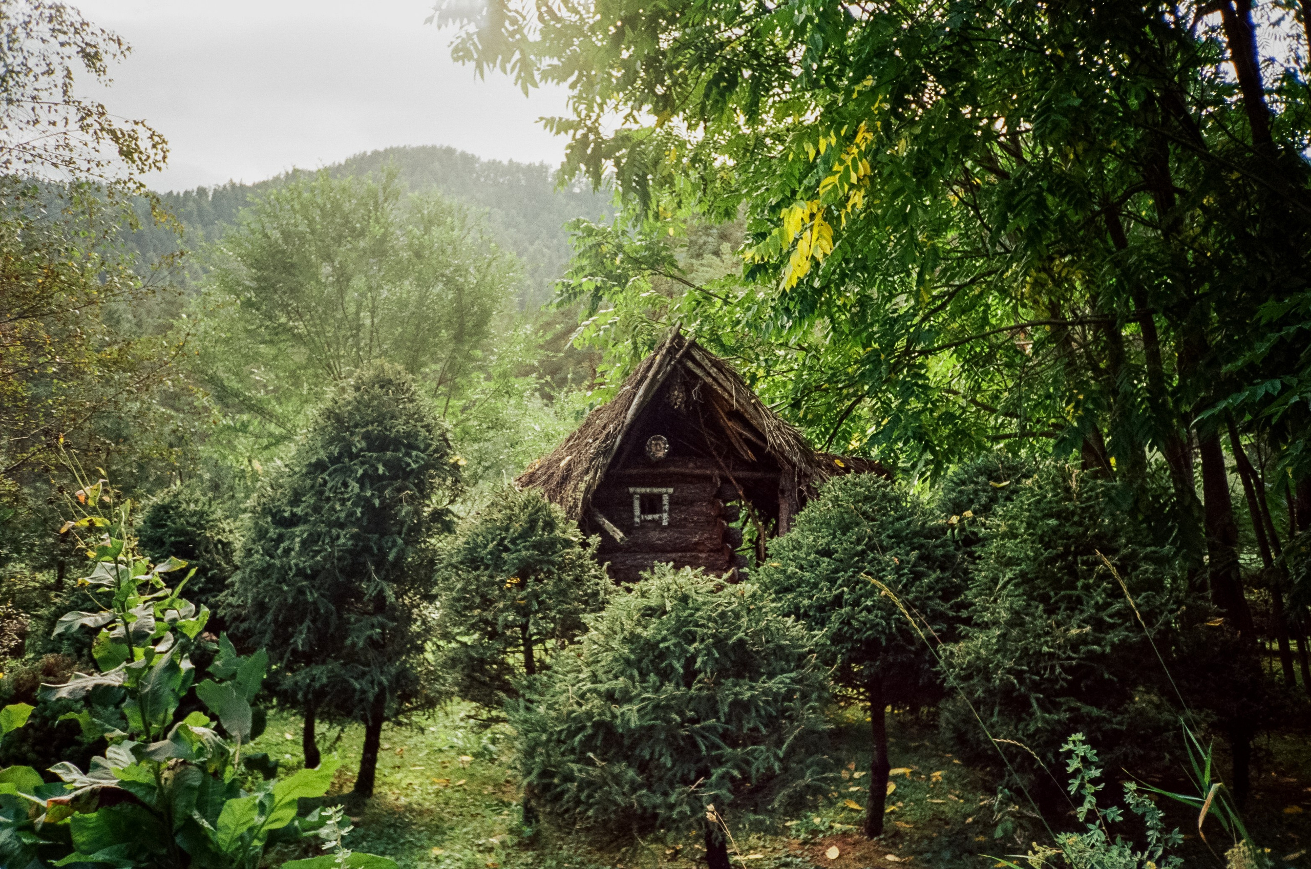 Ботанический сад и река Сема. Фотограф-документалист Мария Осокина