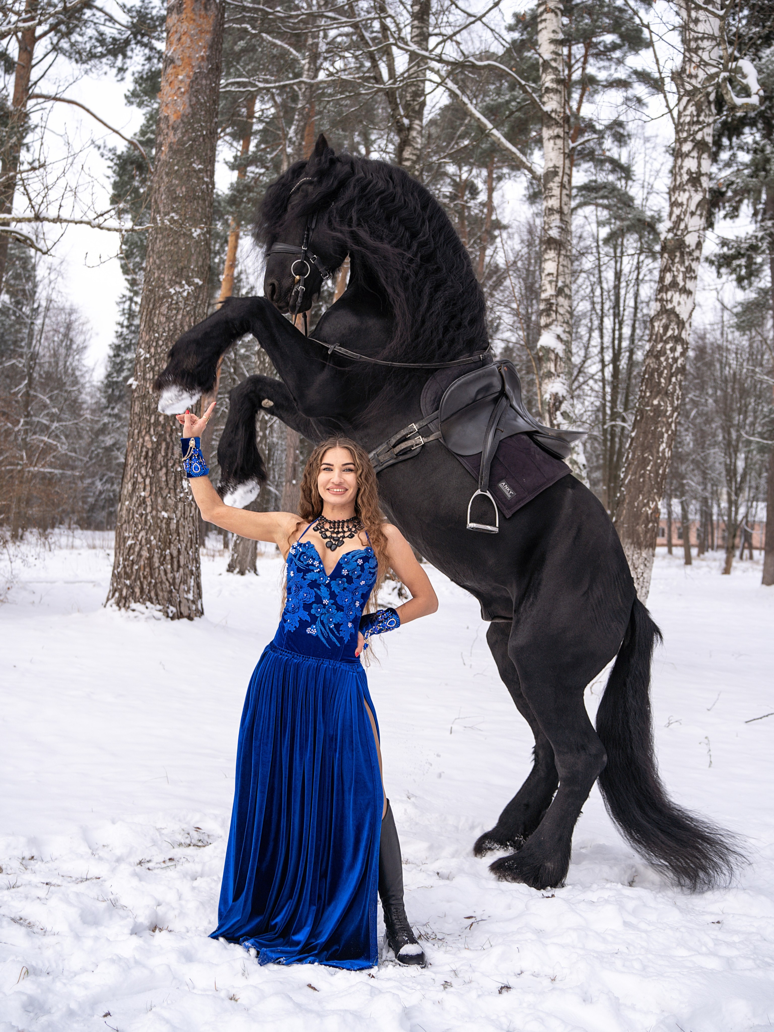 Лошадки зима. Фотограф Зинаида Евдокимова