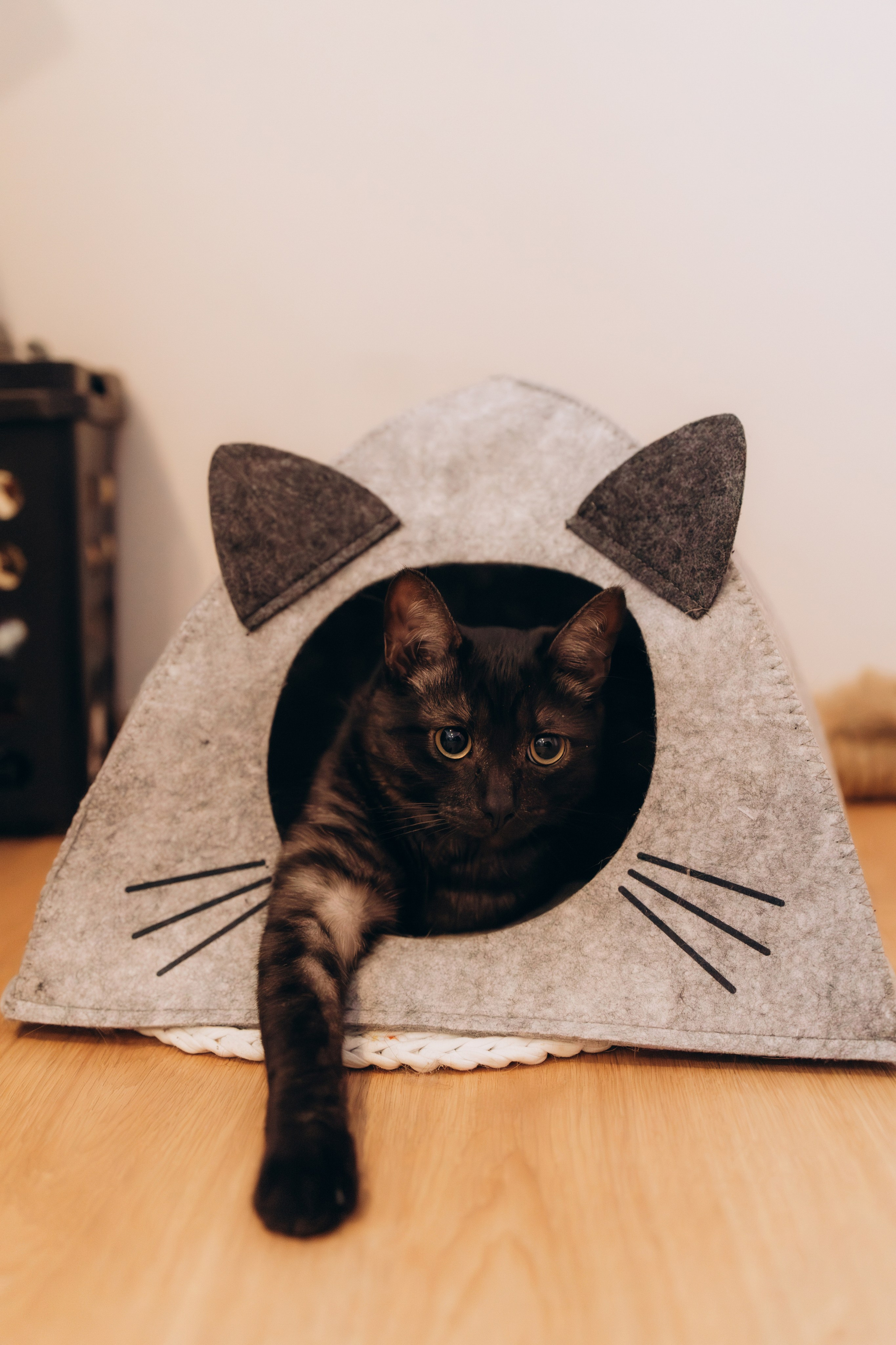 Дома. Семейный и свадебный фотограф Анастасия Слободчикова. Лысьва, Чусовой, Пермь