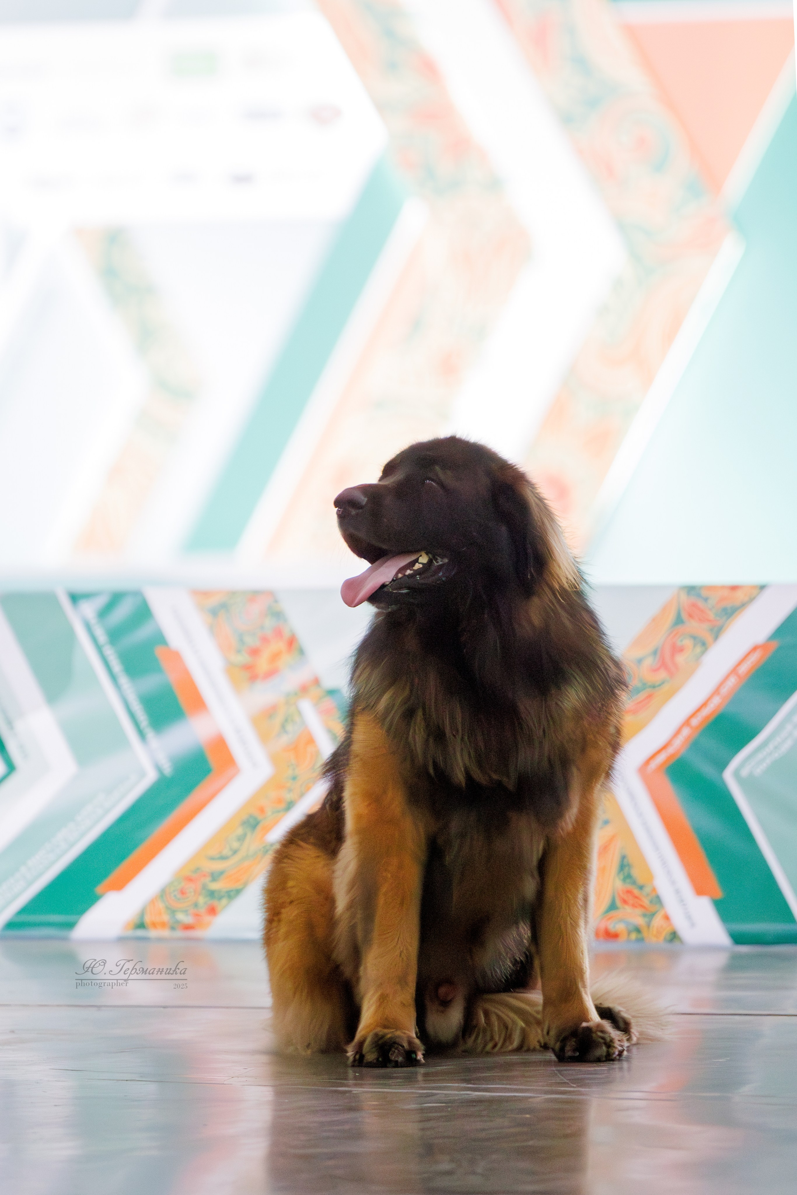 Евразия 15-16.11.2025. Фотограф-анималист Юлия Германика