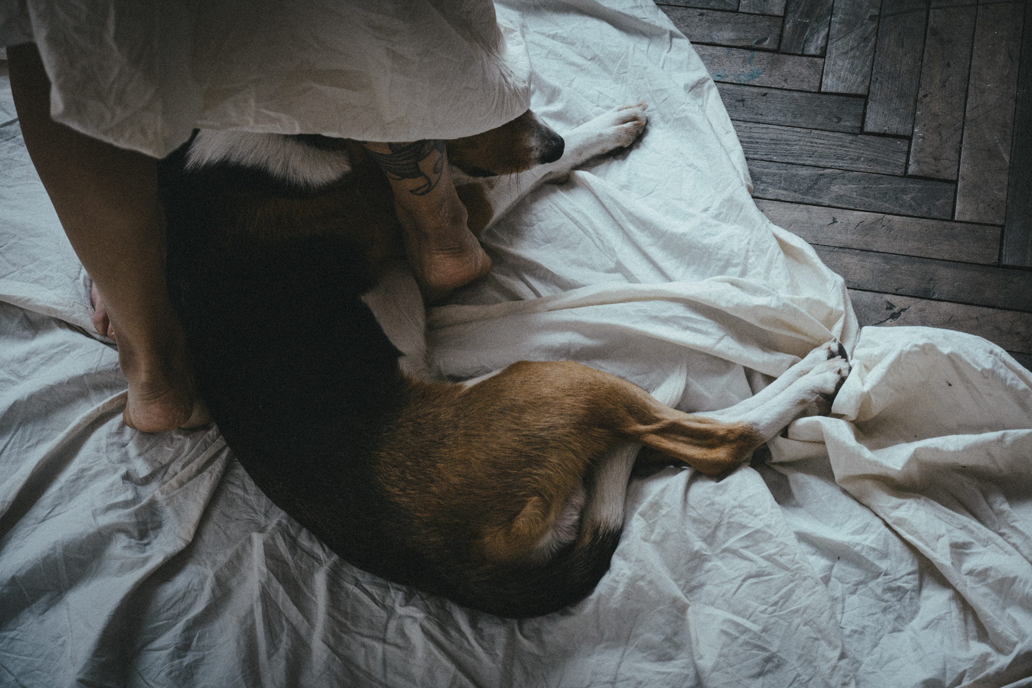 Фото истории. Photographer and videographer in Stockholm — Lyuba Langer