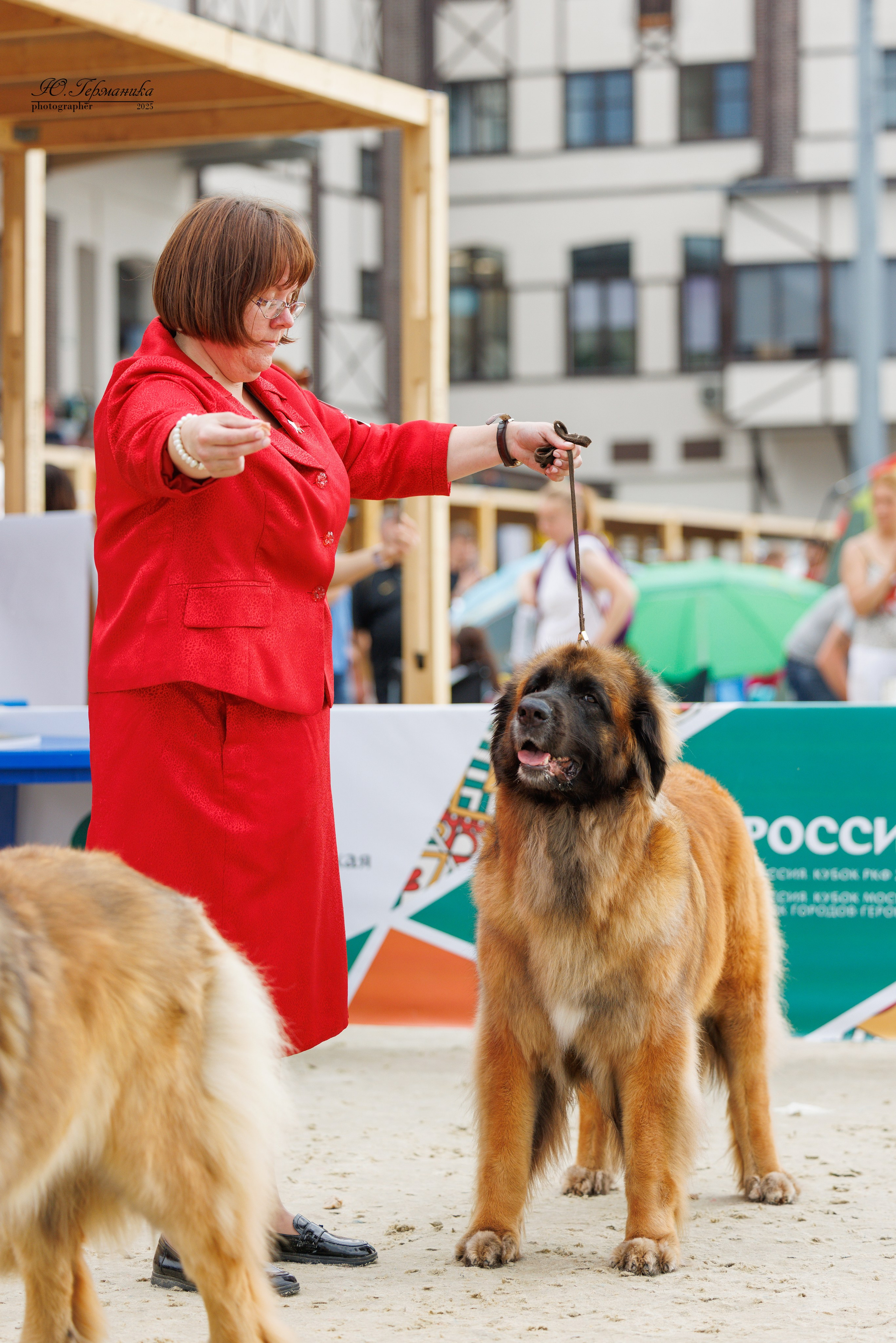 РОССИЯ 7-8.06.2025. Фотограф-анималист Юлия Германика