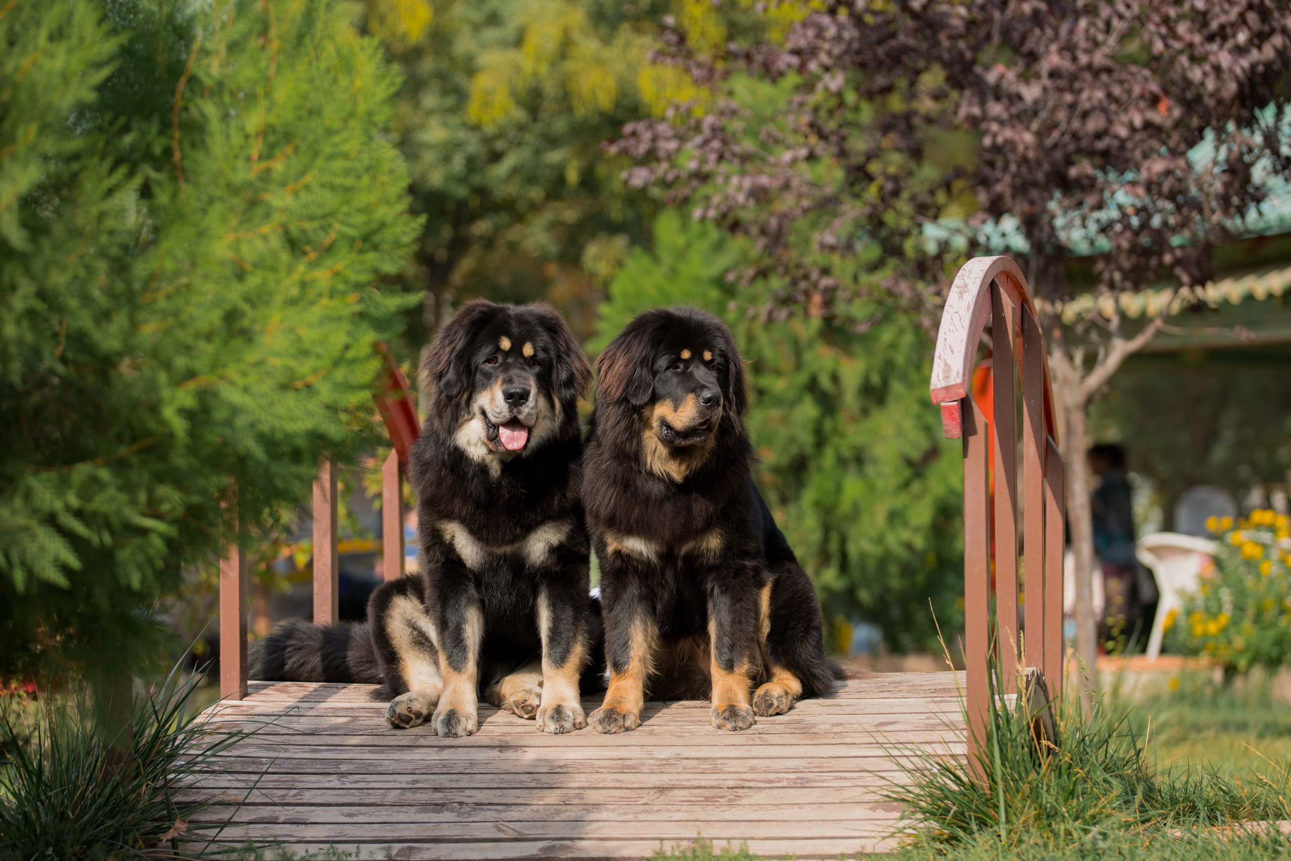 Ташкент 6-8.10.2023 + Алматы 14-15.10.2023. Фотограф-анималист Юлия Германика