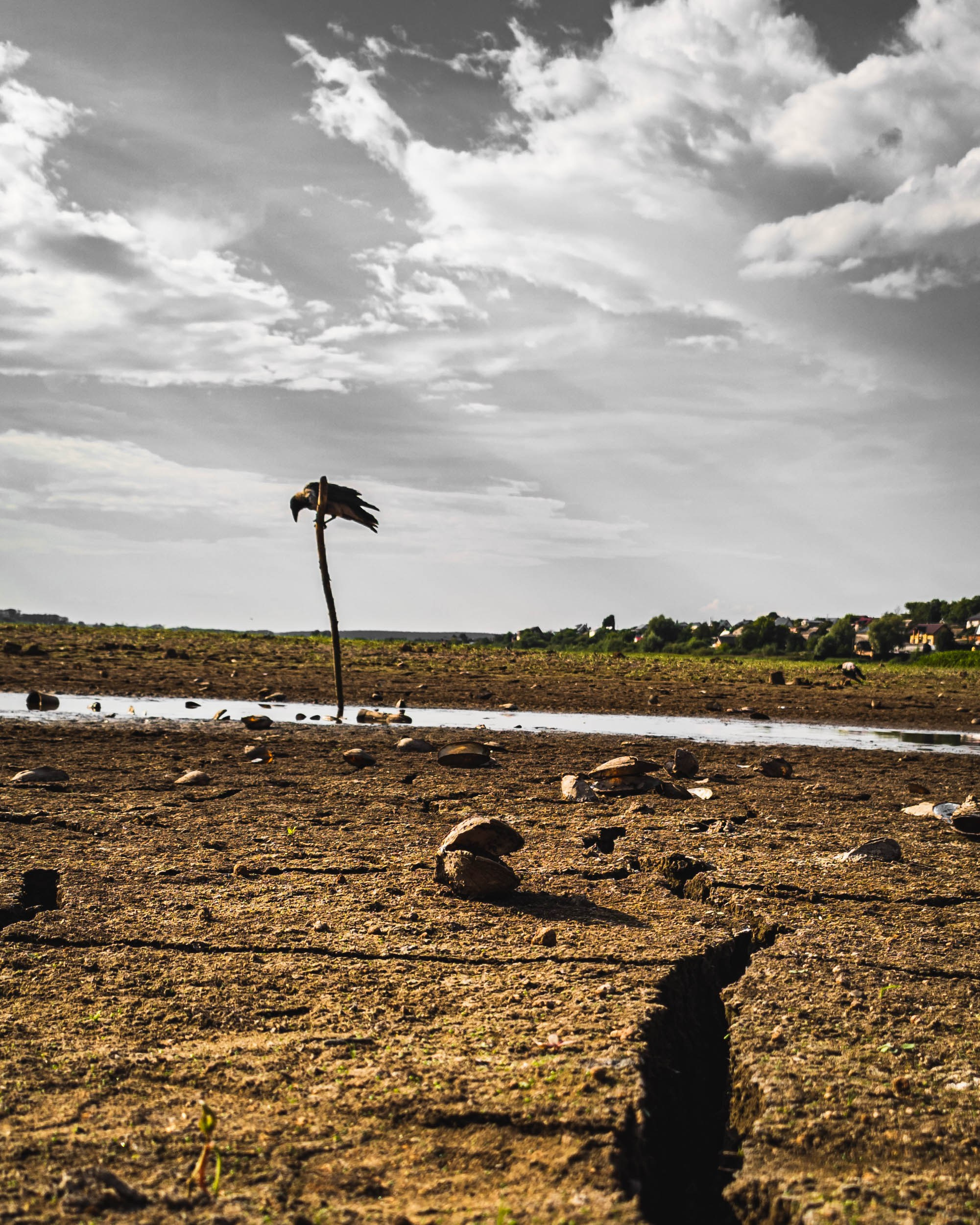 Эстетика ебеней. Олег Романов. Мастер фото по спорту