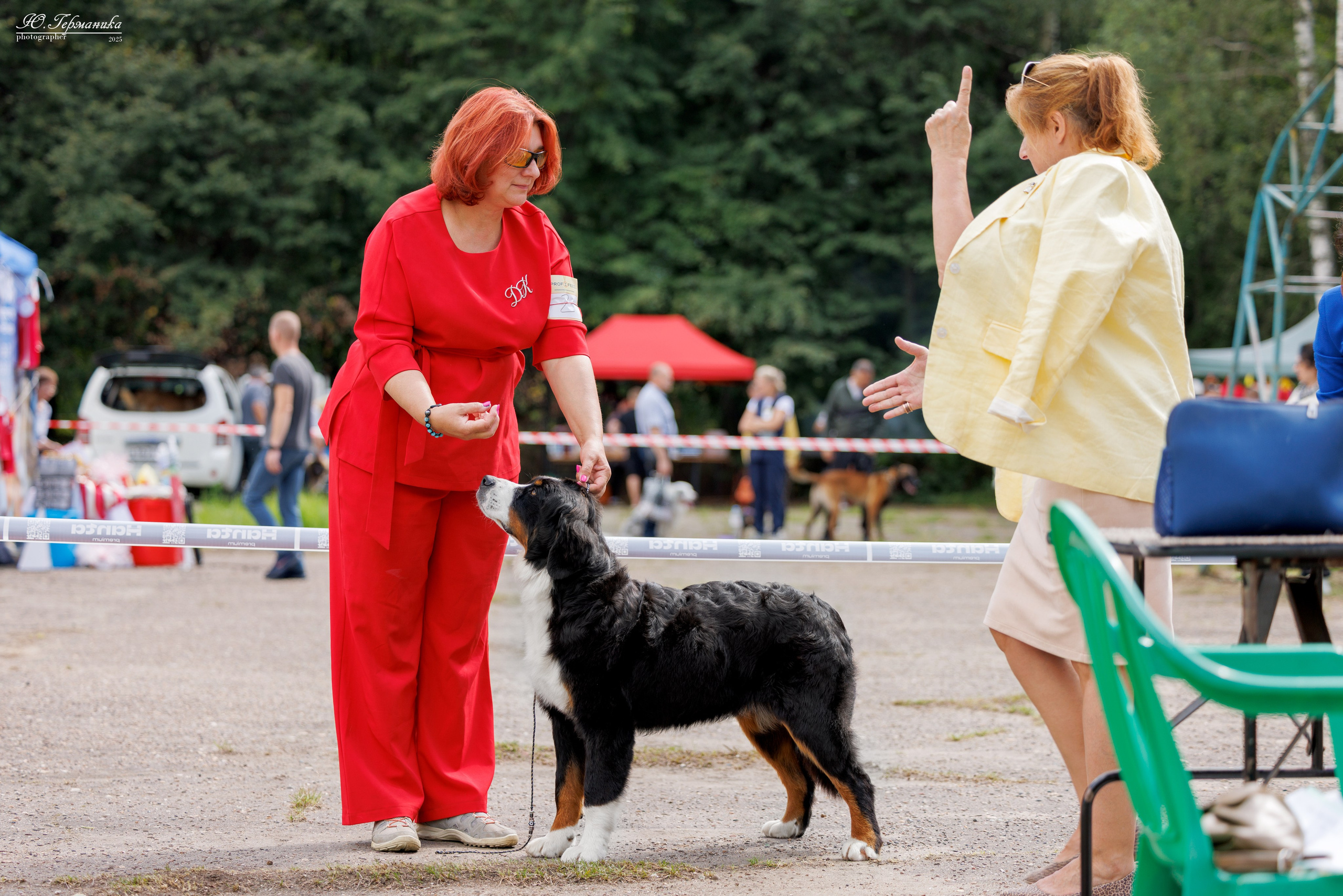 Тверь 10.08.2025. Фотограф-анималист Юлия Германика