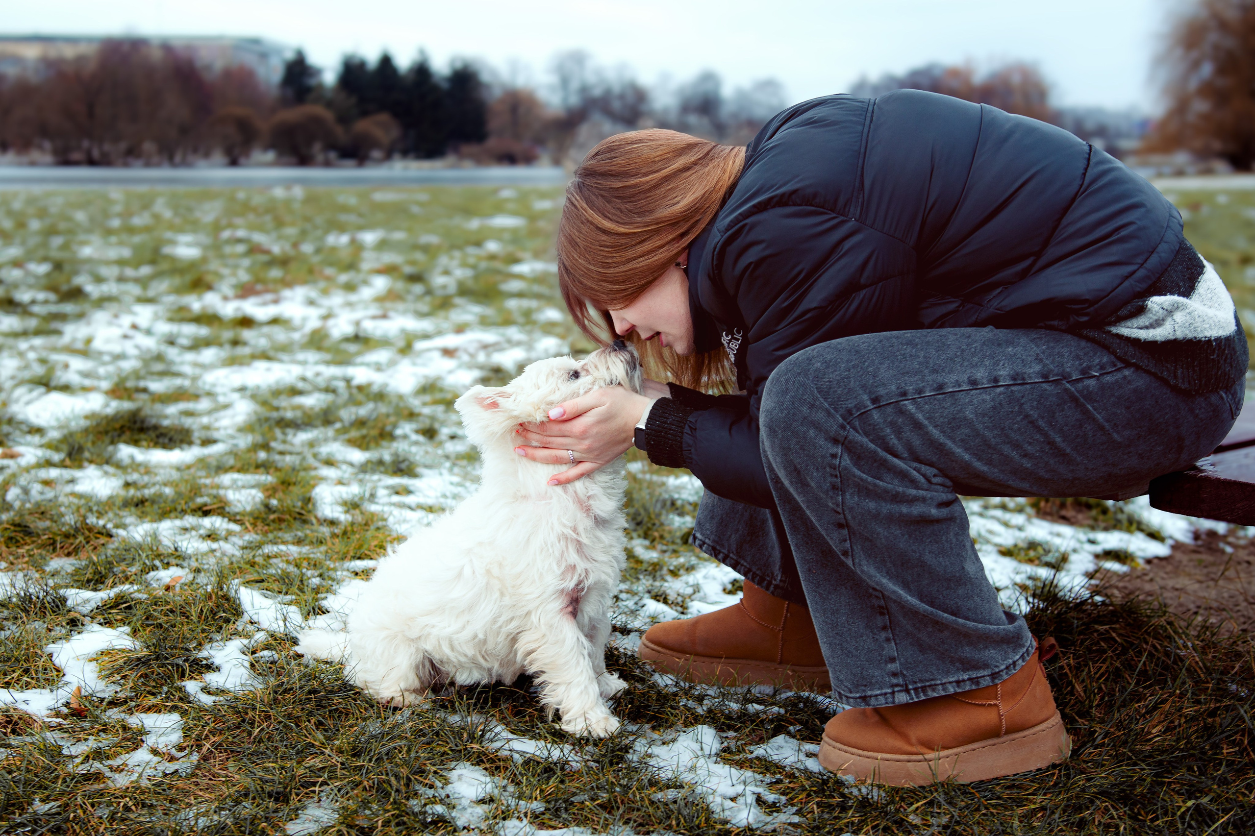 Фотосессия с собакой в парке зимой  Минск