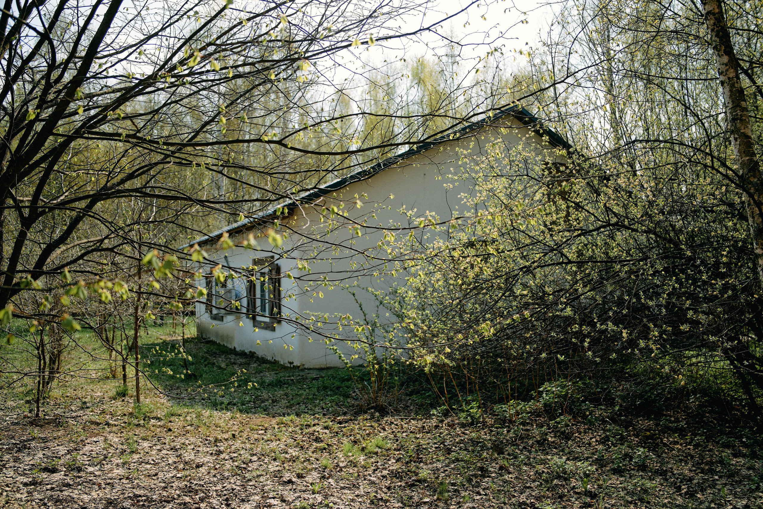 Бутик-отель Поле летом. Профессиональный Фотограф во Владимире, в Москве и в Суздале — Полина Романычева