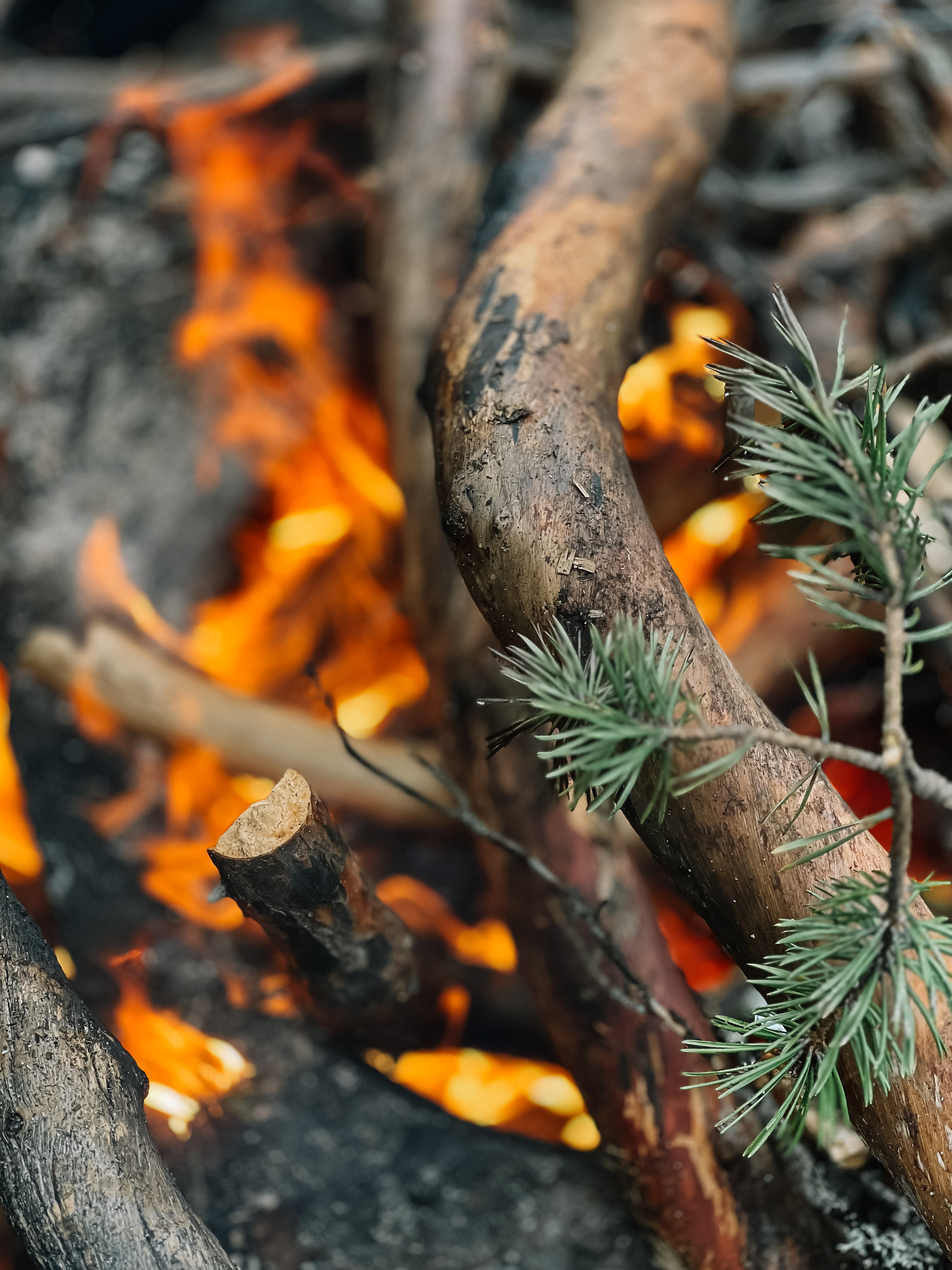 Спортивная фотосъемка, яхтинг, фотосъемка. Фотограф Ольга Че
