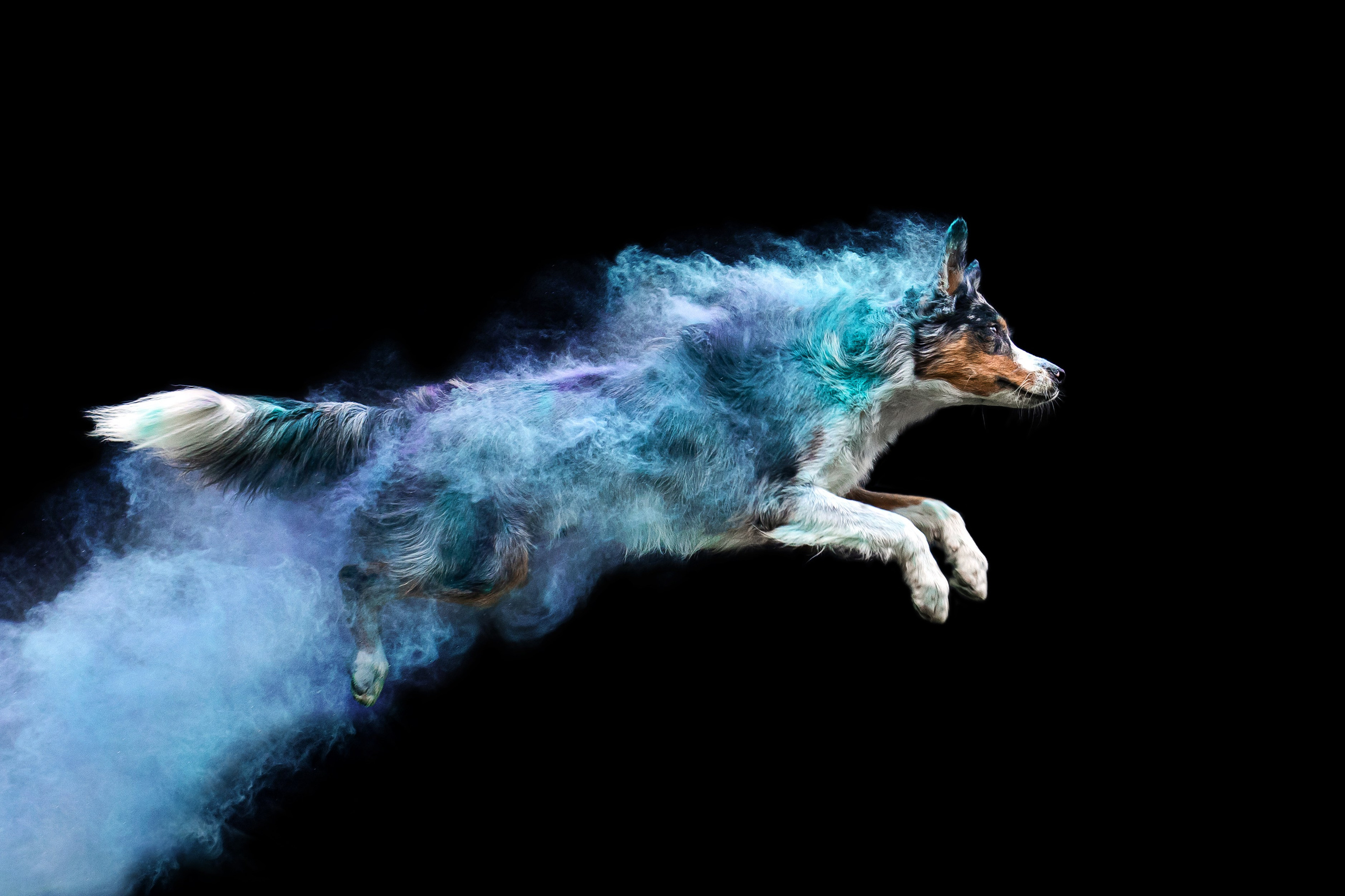 Пиксель и Зола