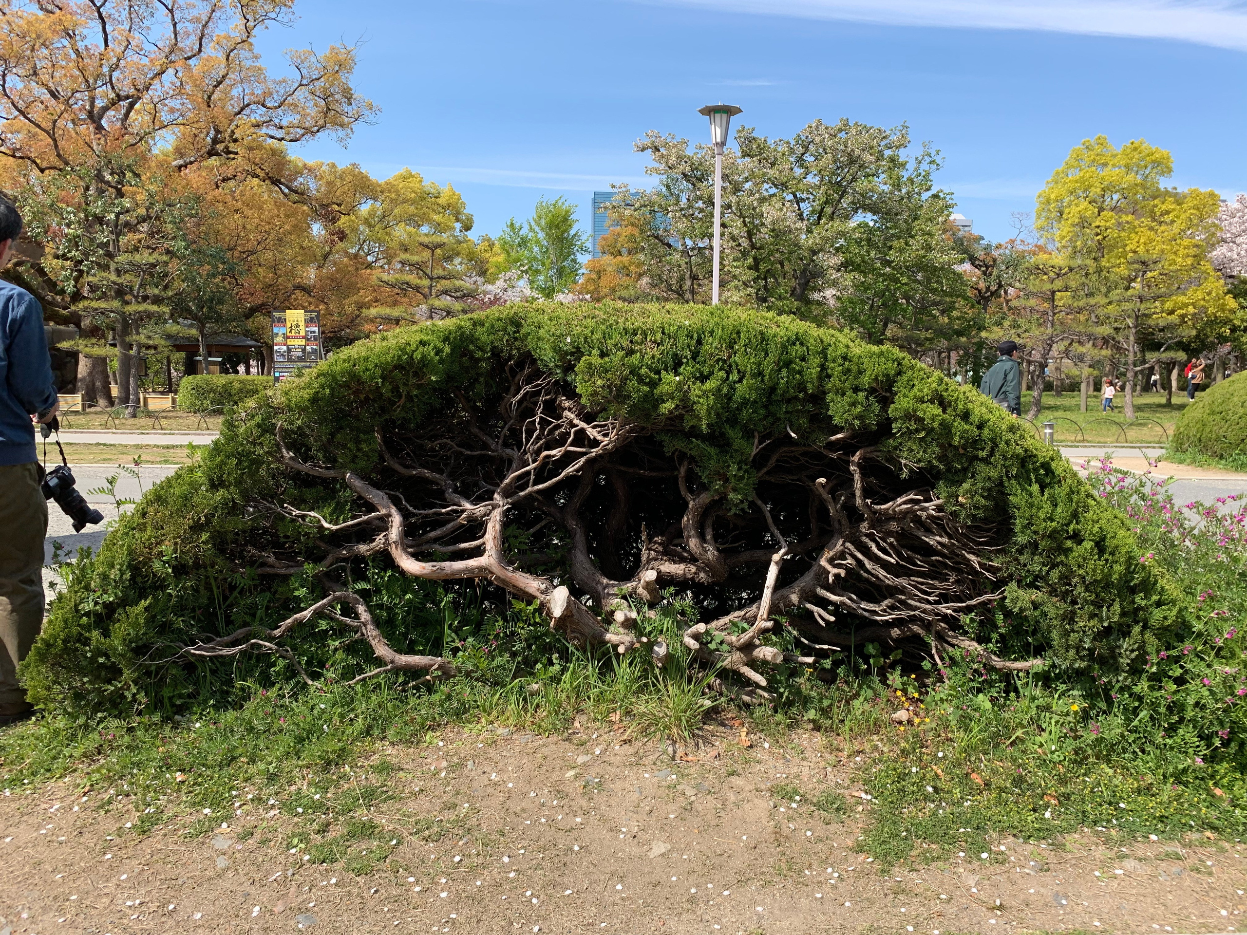 2019 год. Тащилин Сергей. Фотографии. Жизнь. Хобби