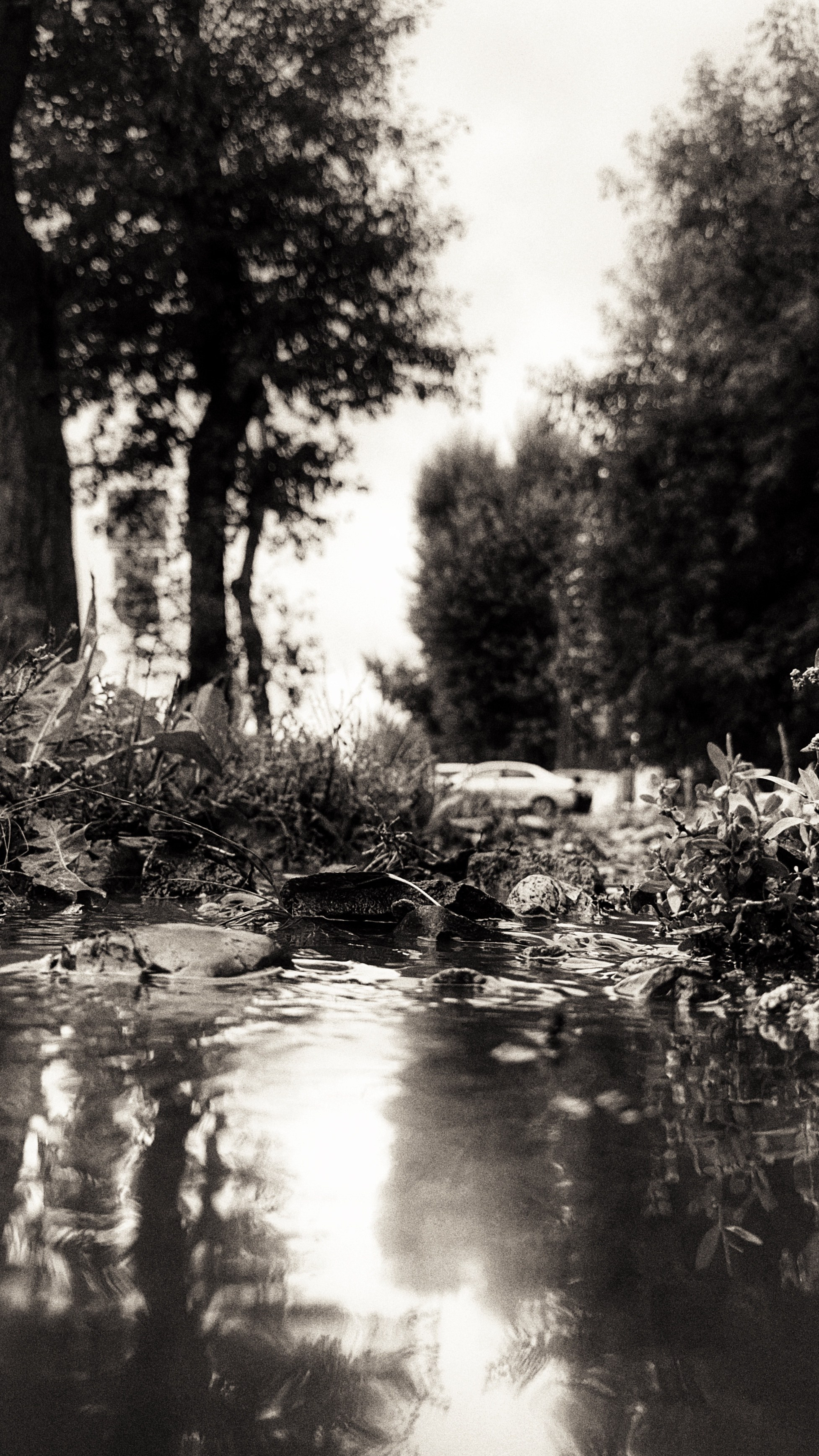 2024. Тащилин Сергей. Фотографии. Жизнь. Хобби