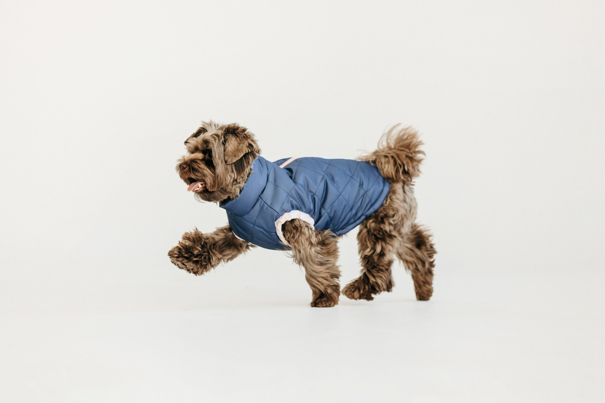 Одежда Lapa`s brand. Фотограф-анималист Елена Радченко, Москва