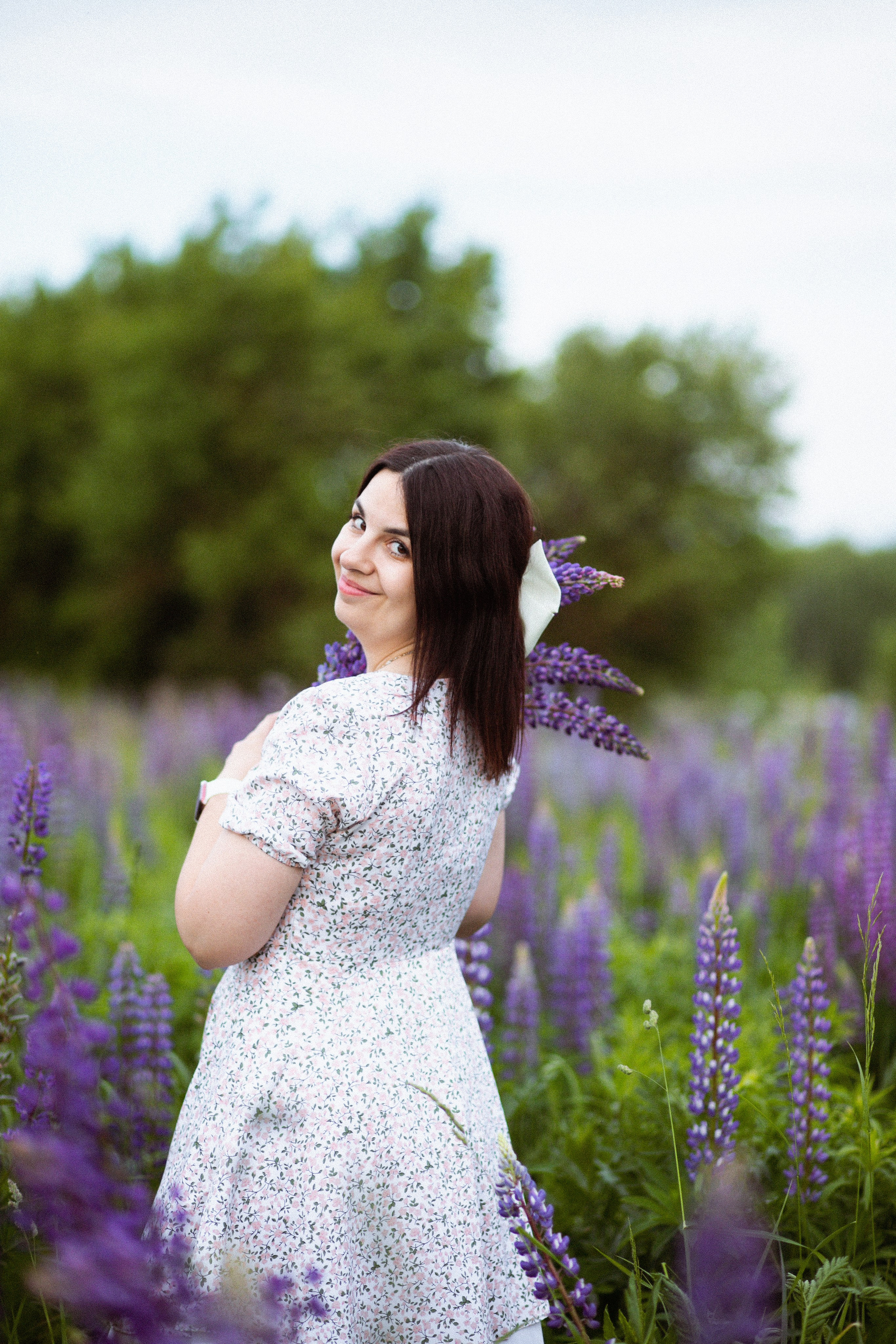 Июньские люпины. Фотограф в Москве/Санкт-Петербурге