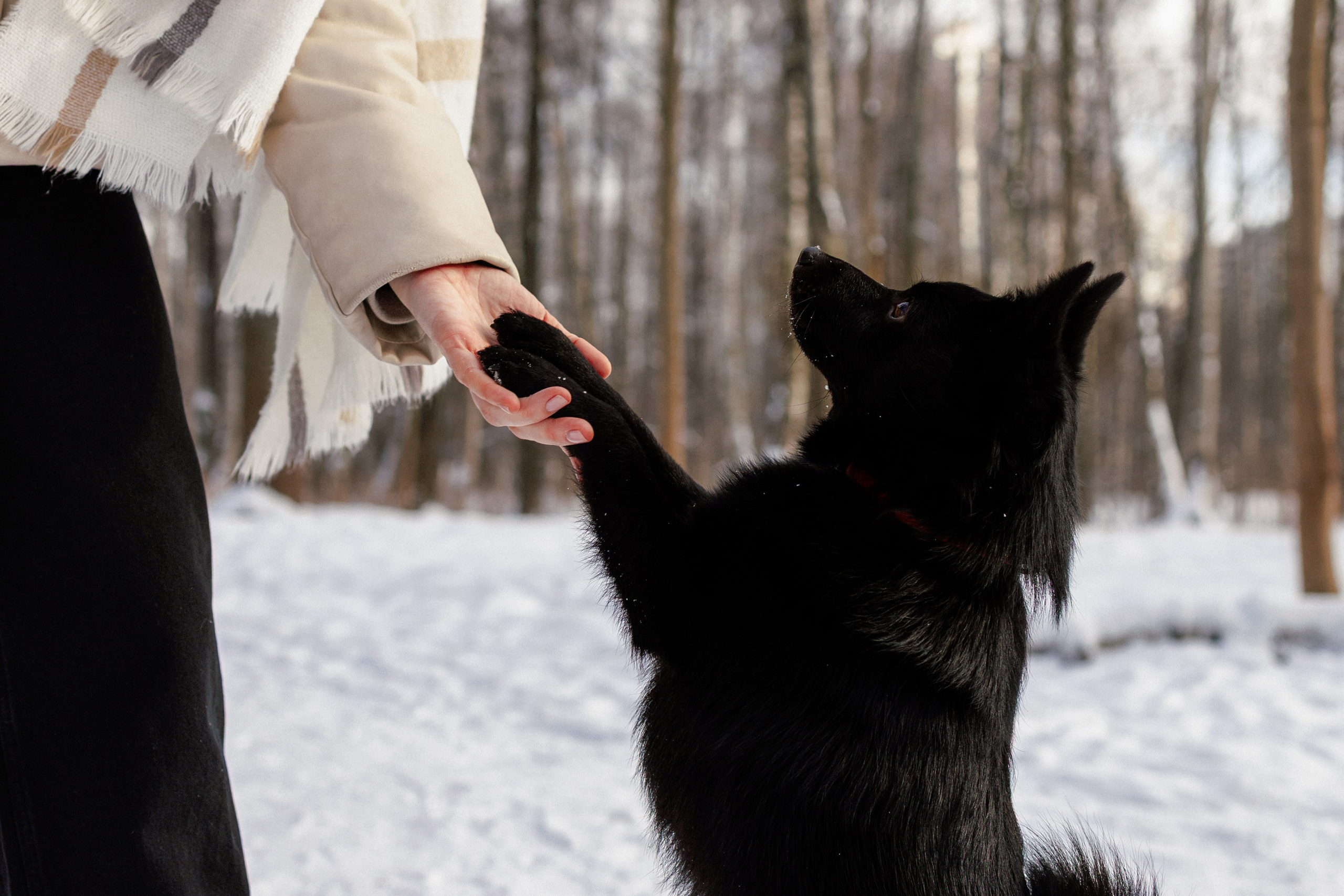Юлия и Кит. Фотограф в Санкт-Петербурге Алёна Губинская