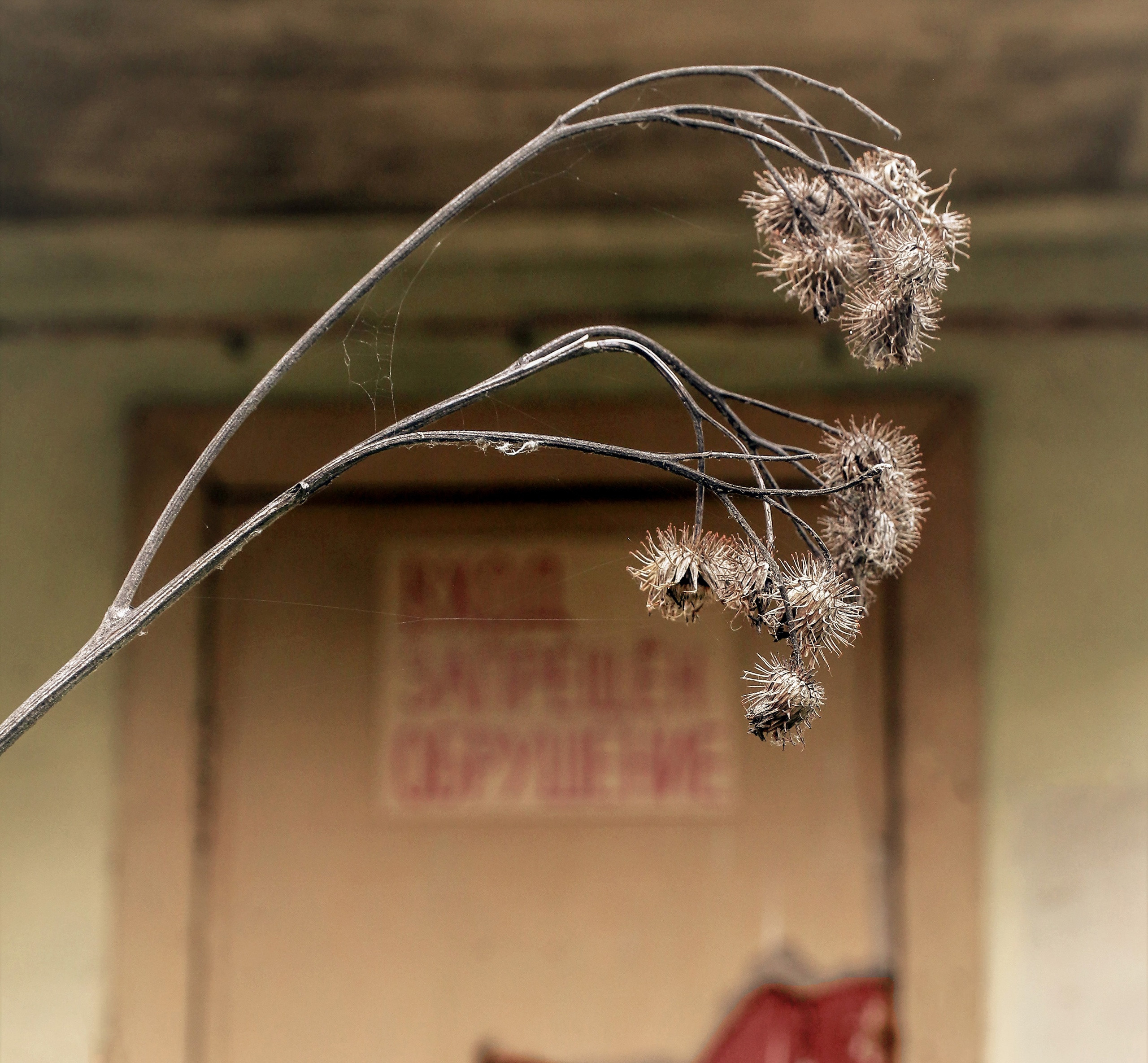 Осень на дворе