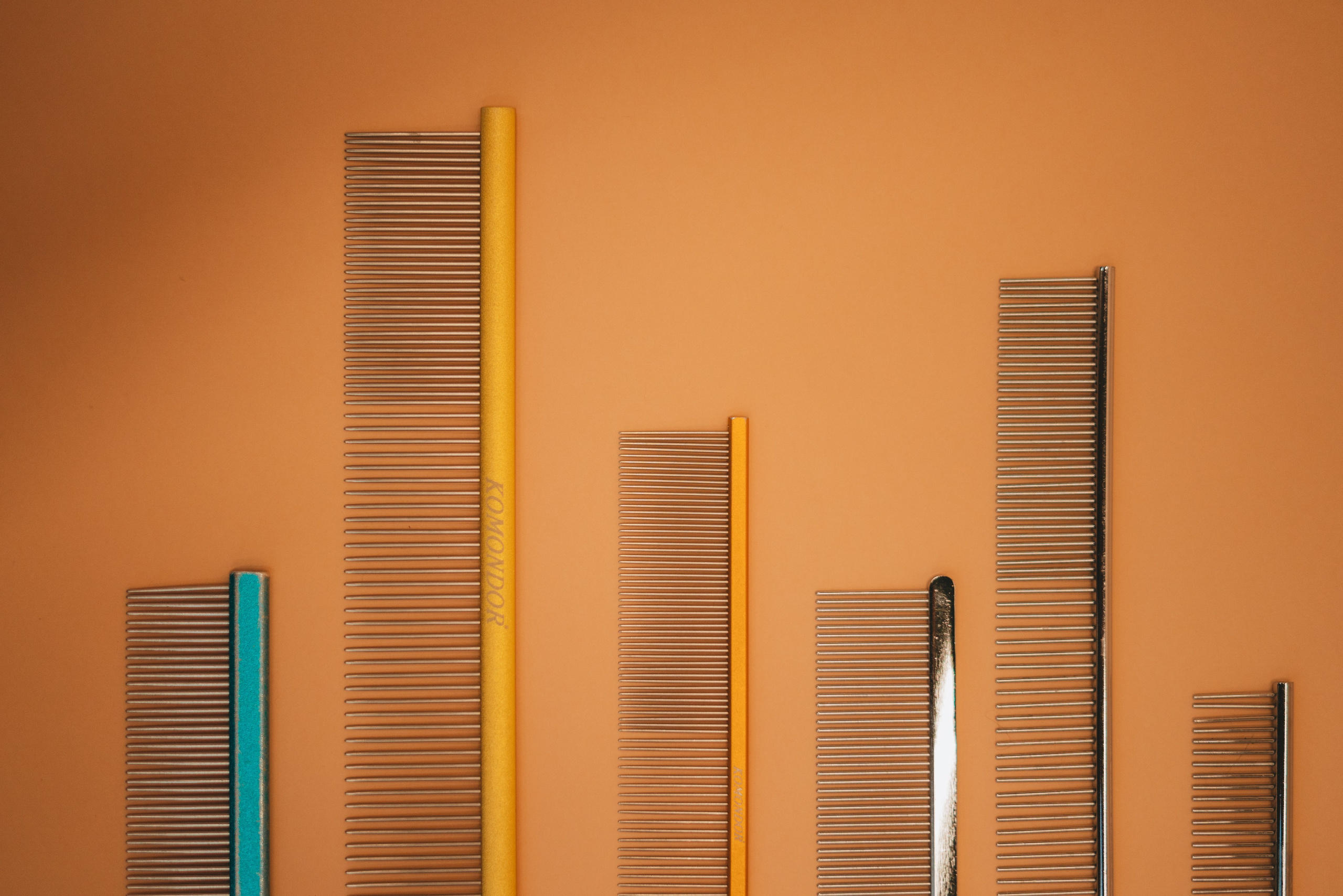 Груминг — салон. Фотограф анималист Осипчикова Мария