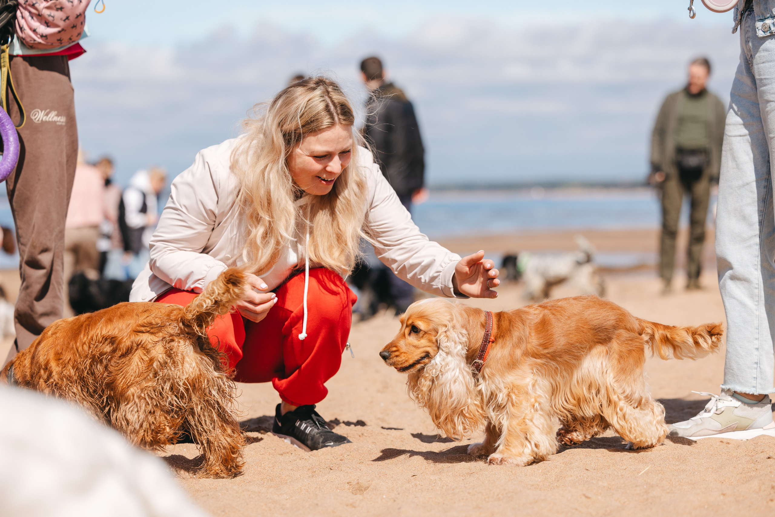 Спанимания. Фотограф анималист Осипчикова Мария