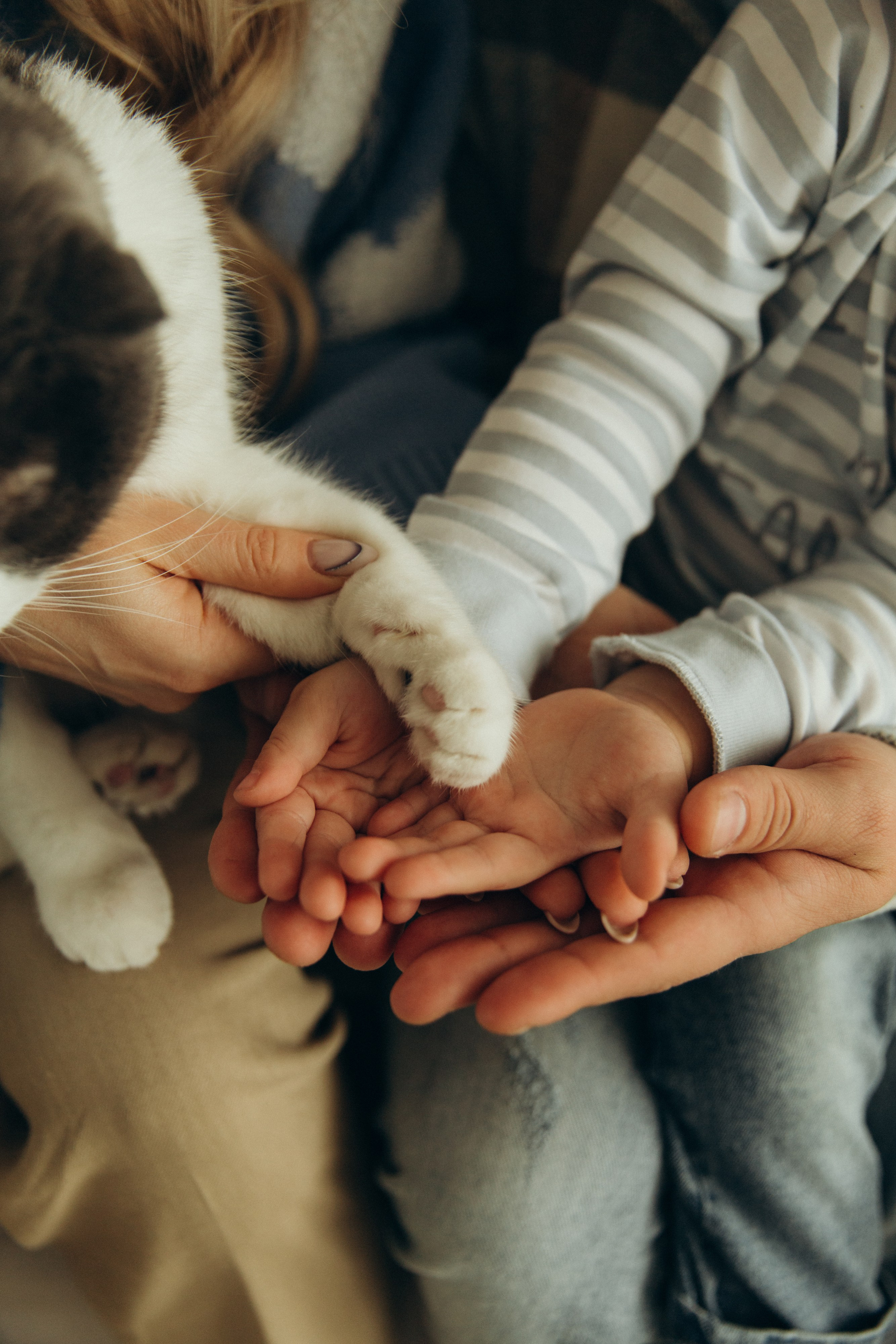 Home A & A. Семейный и детский фотограф Башкатова Дарья Старый Оскол