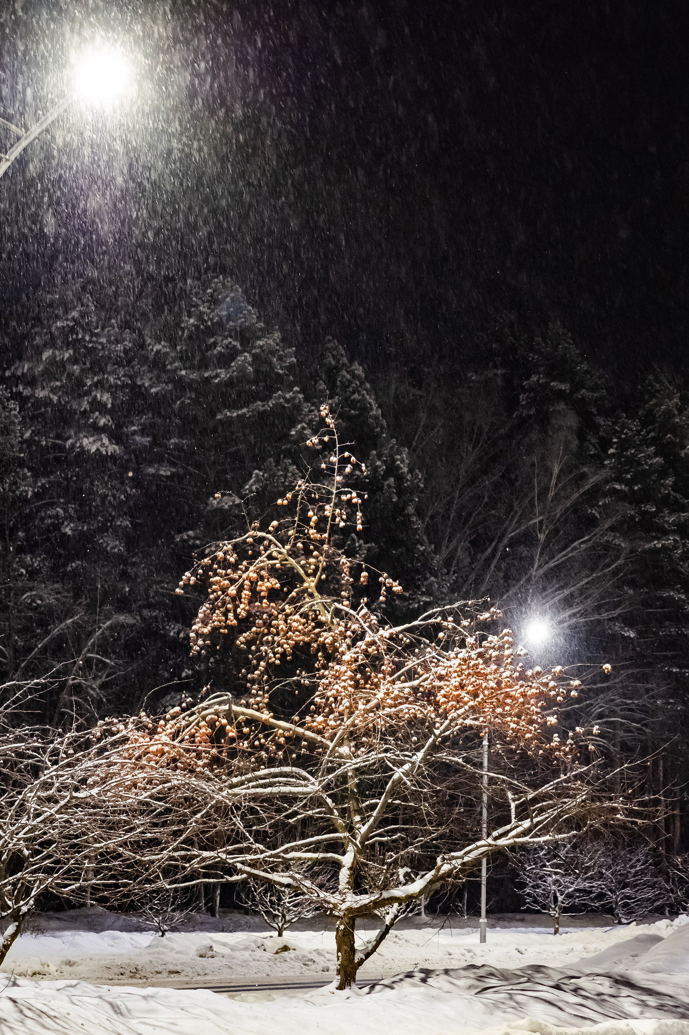 Красота Заречного. Репортажный, семейный и детский фотограф в Пензе и Заречном Арина Ермилова. Картины барельеф на заказ