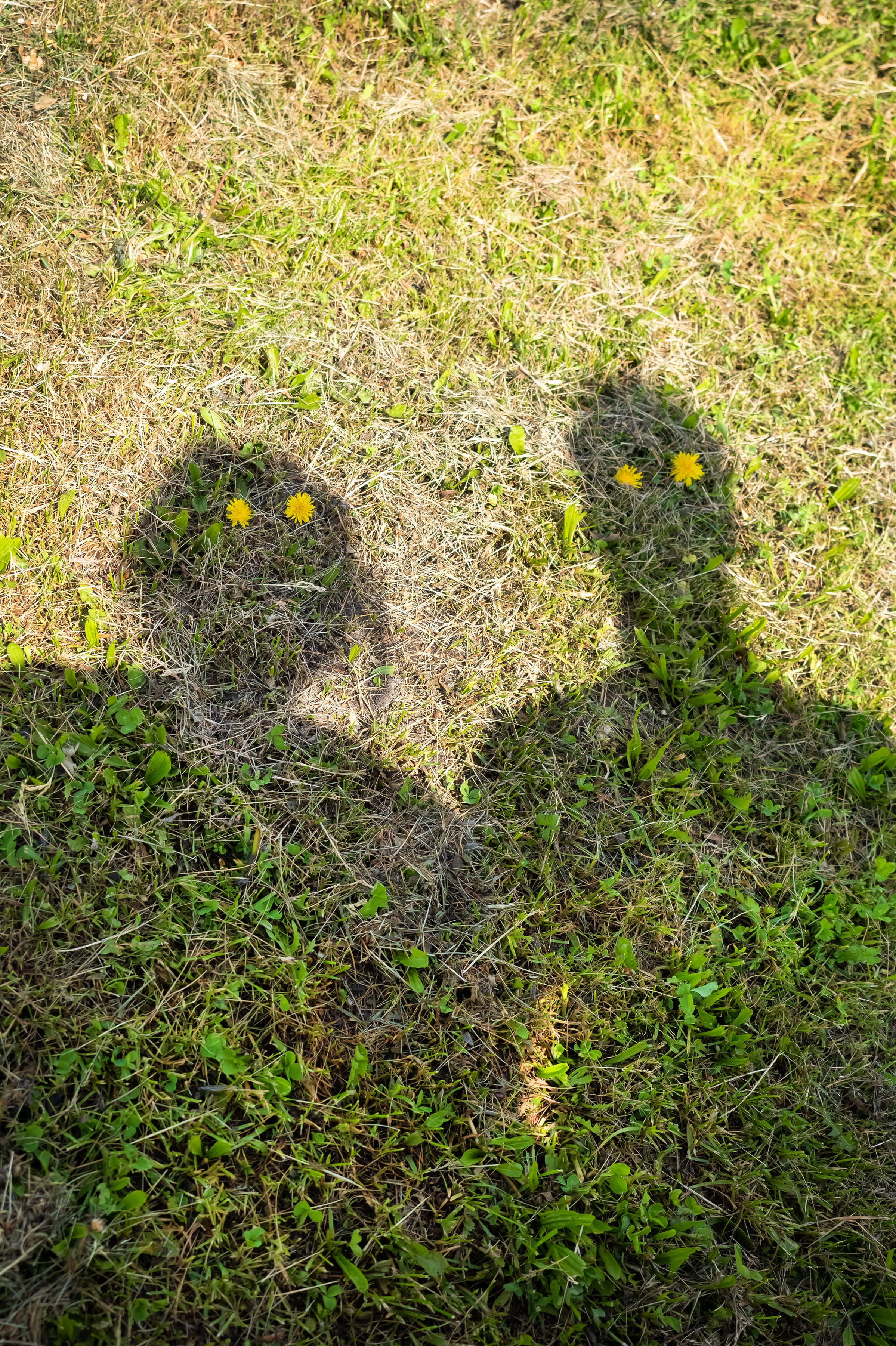 Михаил и Юля. Репортажный, семейный и детский фотограф в Пензе и Заречном Арина Ермилова. Картины барельеф на заказ