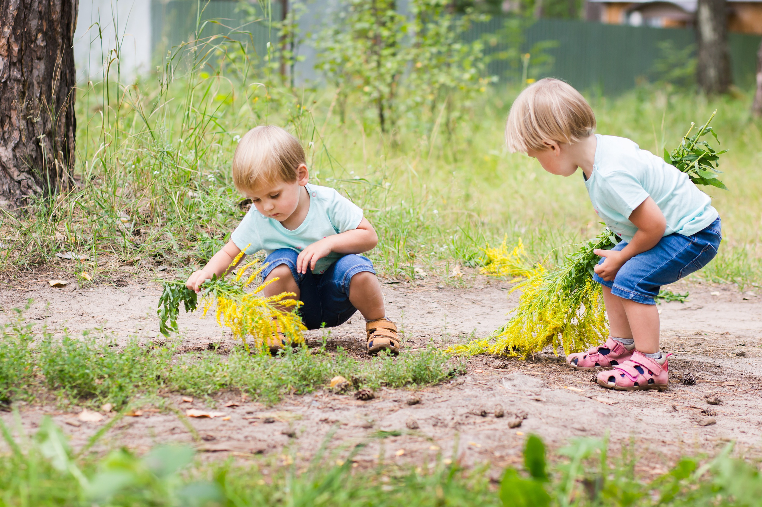 Прогулка в лесу. Репортажный, семейный и детский фотограф в Пензе и Заречном Арина Ермилова. Картины барельеф на заказ