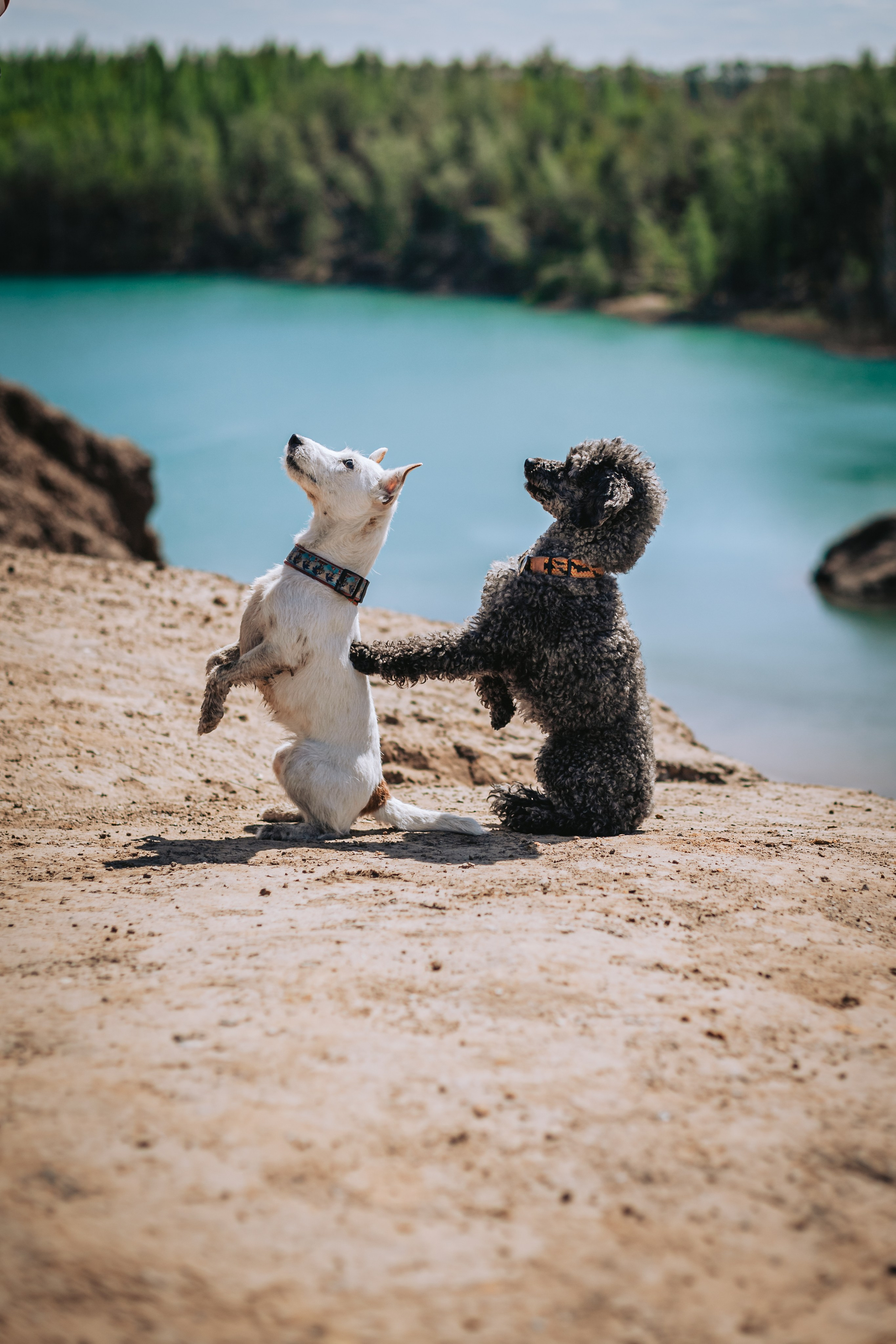 Кондуки. Фотограф-анималист Татьяна Степанова
