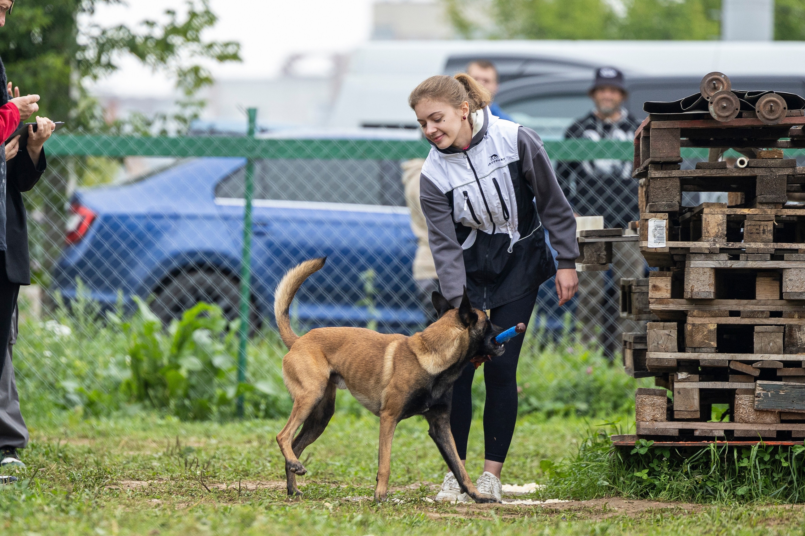 Соревнования по Мондьорингу г. Вологда 10-11.08.2024. Фотограф-анималист Анна Маринич