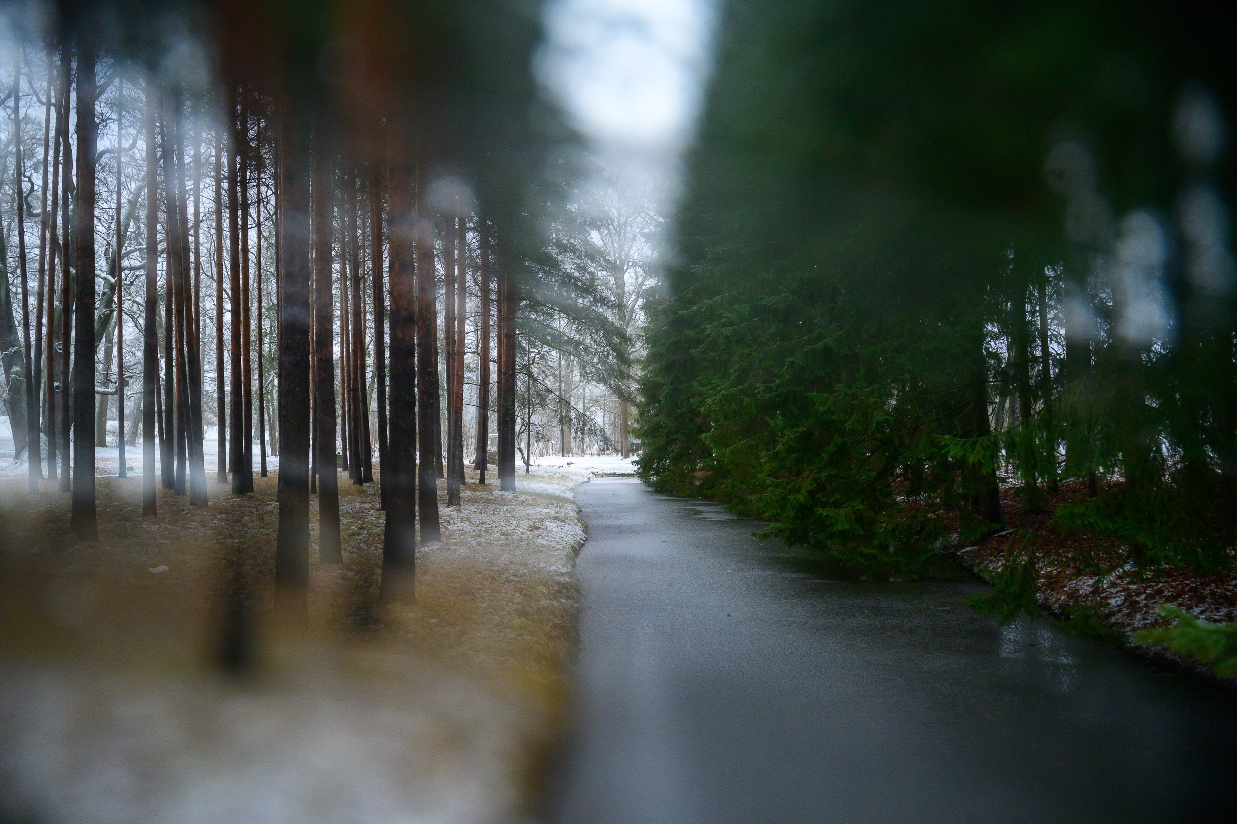 SAINT PETERSBURG | SUBURBS. Personal website of photographer Dmitry Raikin