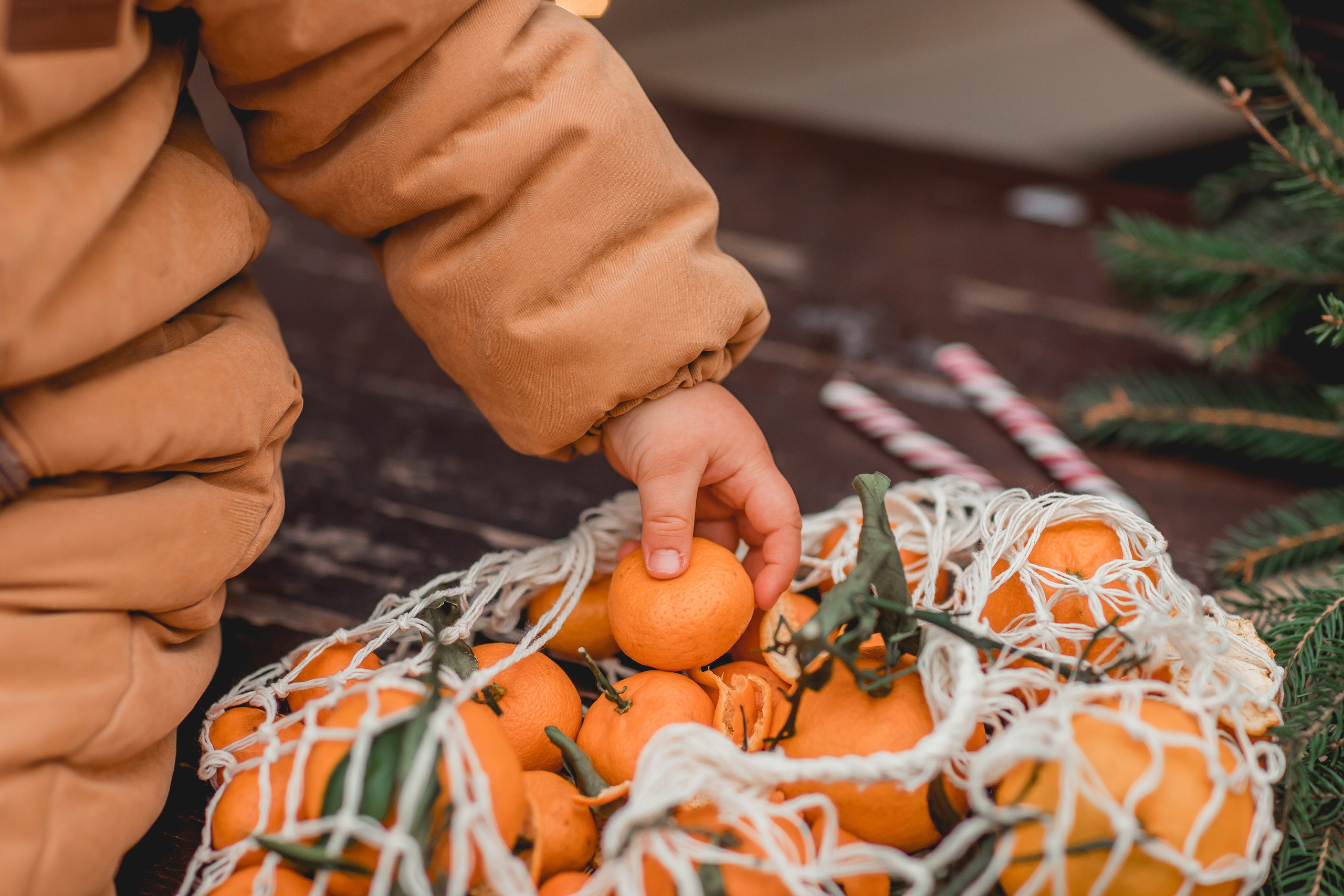 Катя и Роберт. Семейный фотограф анималист Мария Крючкова