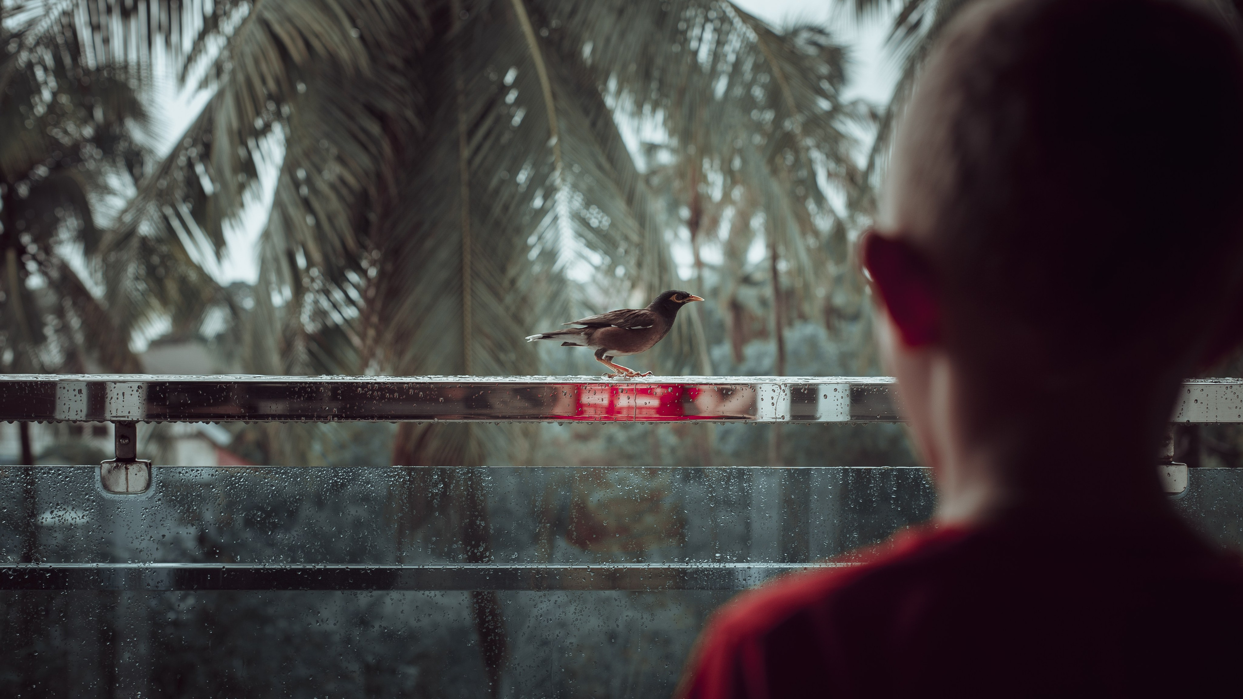 Туризм Люди. Ню Фотограф Александр Касымов Москва, фотосессии, Химки фотограф