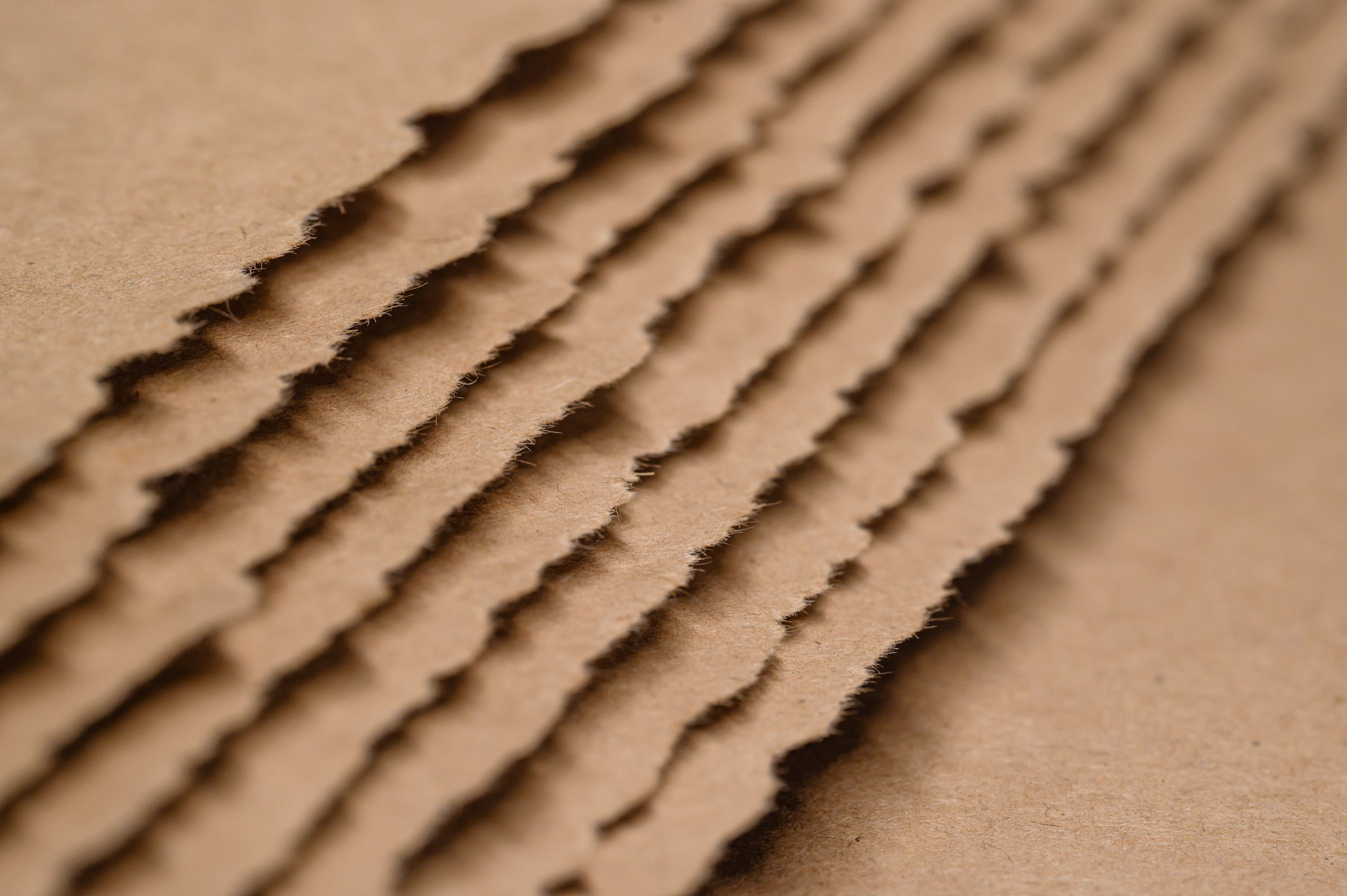 Проекты. Профессиональный фотограф Вячеслав Плацында | Липецк |