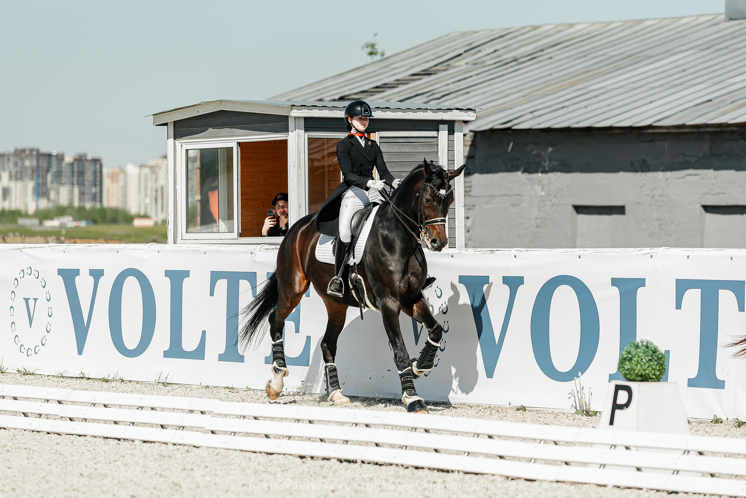 РЕПОРТАЖ МКК ВОЛЬТ «LA TULIPS». Конный фотограф Куракина Дарья • Фотосессии с лошадьми