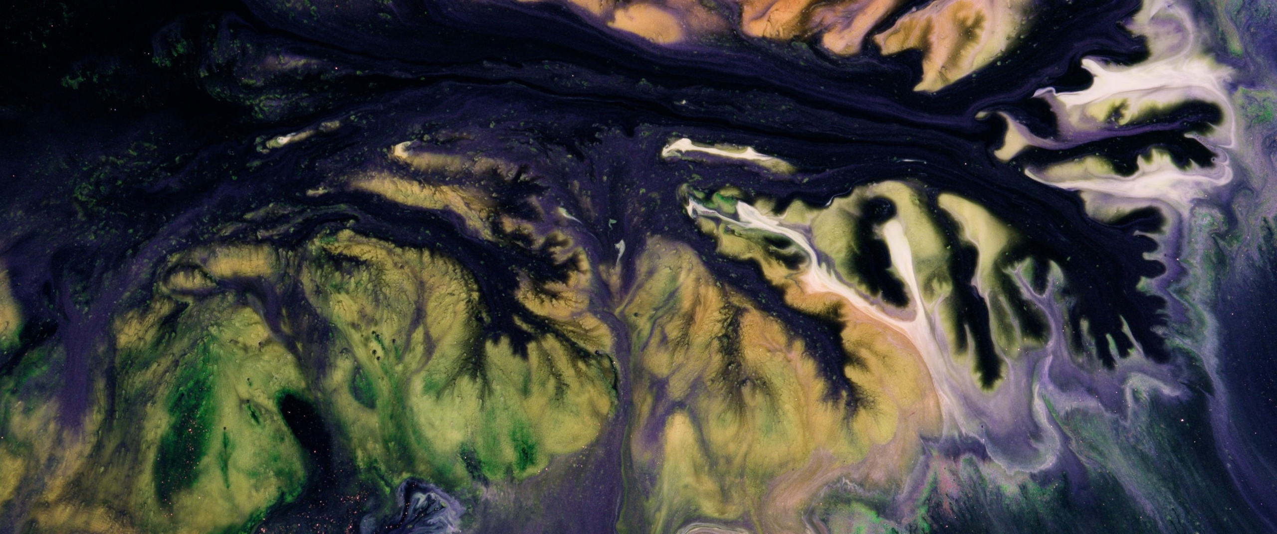 Genesis. Short films by Vadim Sherbakov