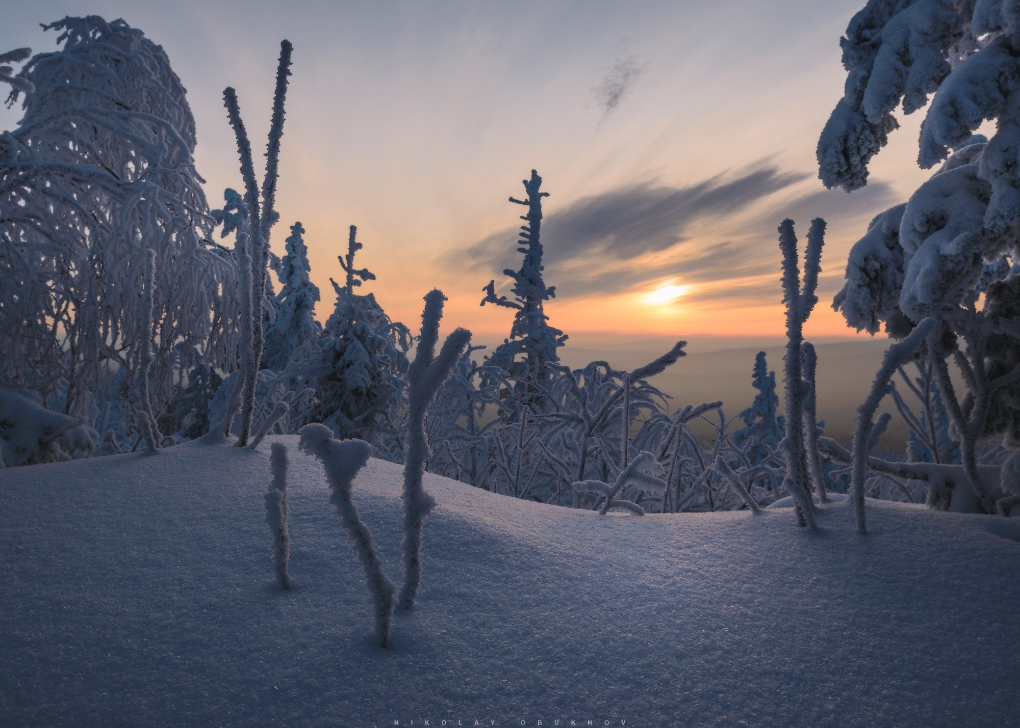 Зимний лес и небо сливаются в прозрачной дымке морозного утра на Урале.