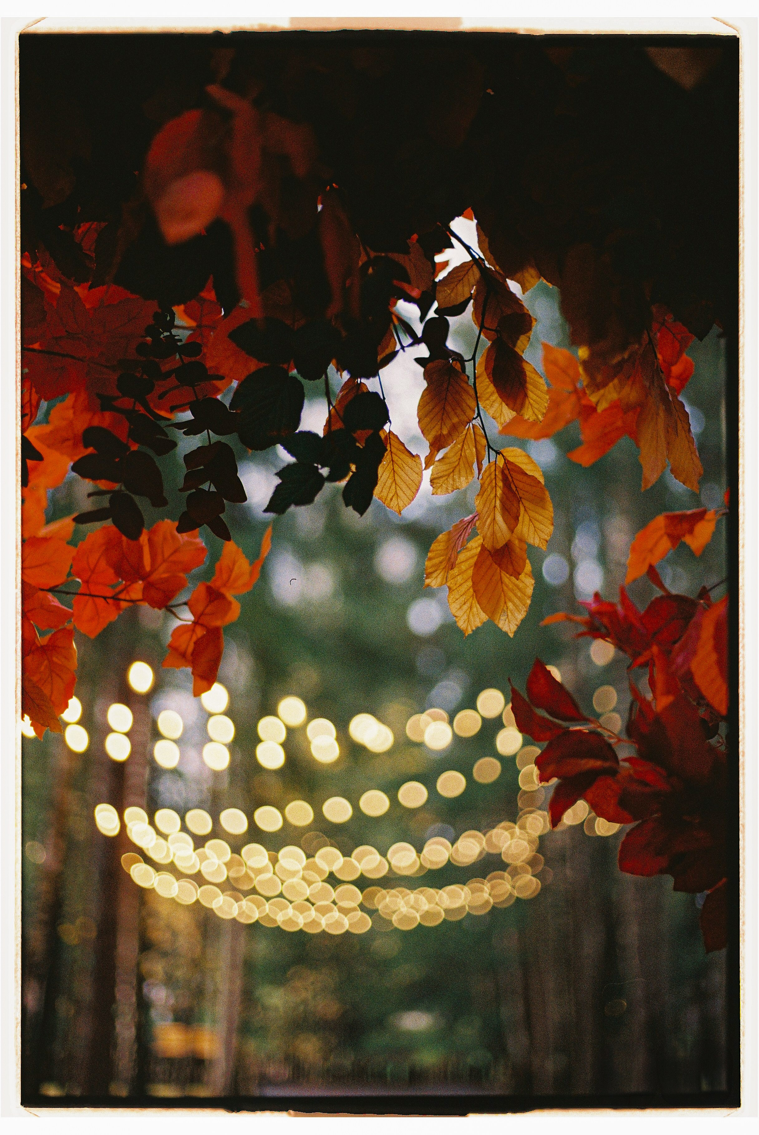 AutumnVibes. Сентиментальная свадебная фотография