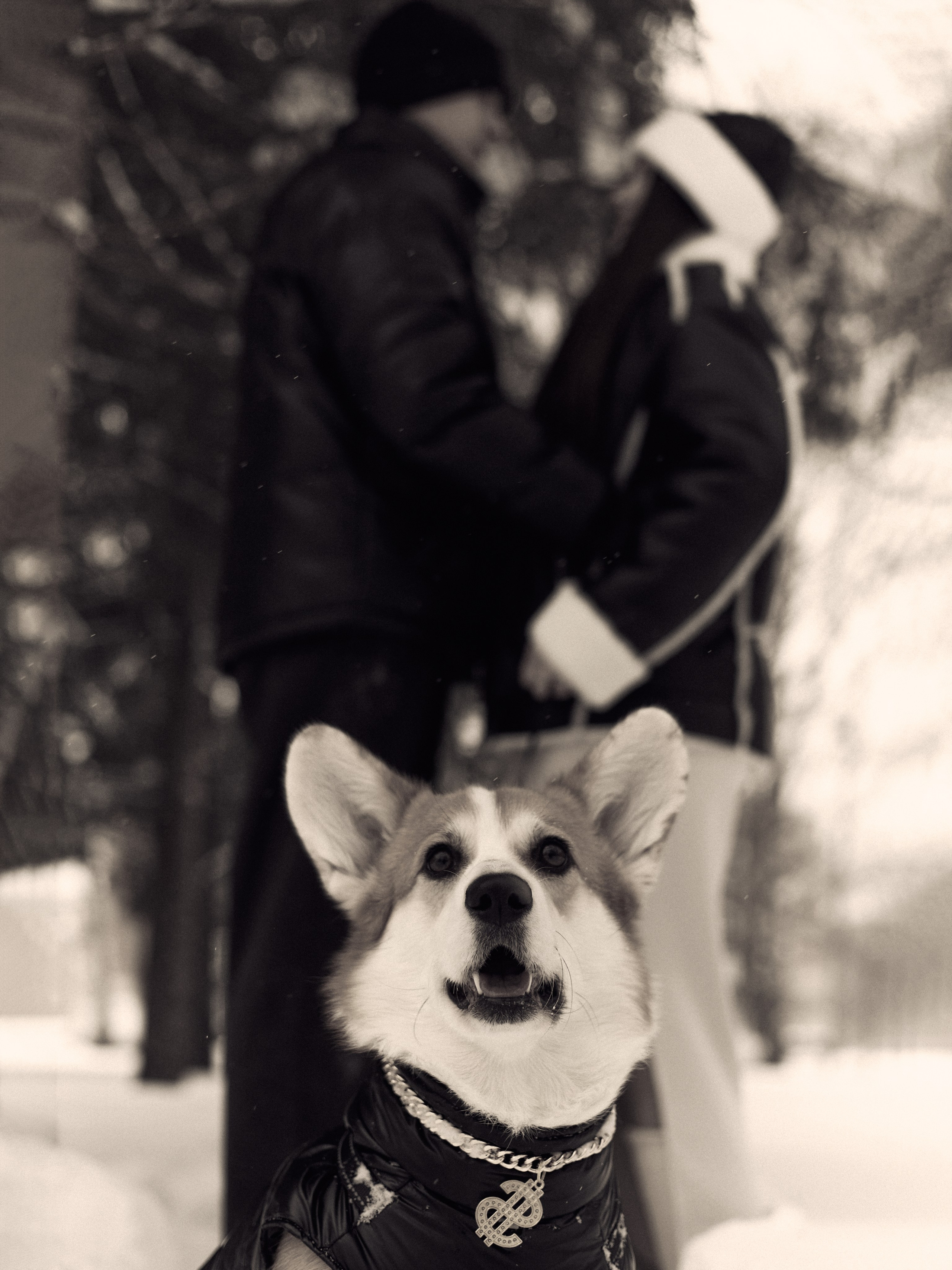 Арина и Динар малыш Рич. Фотограф и видеограф в Бугульме Аня Трутнева