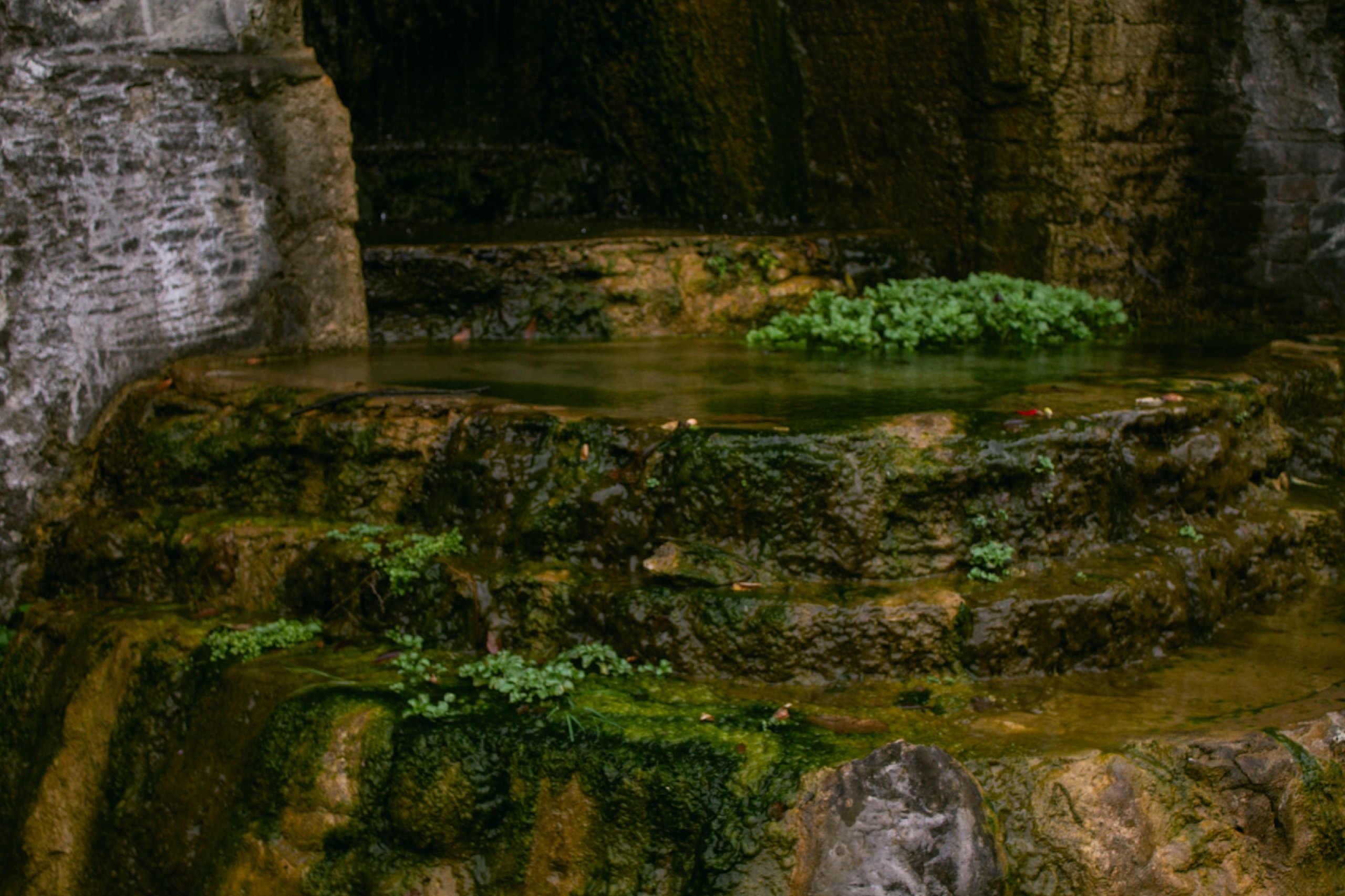 Абхазия. Фотограф и видеограф в Бугульме Аня Трутнева