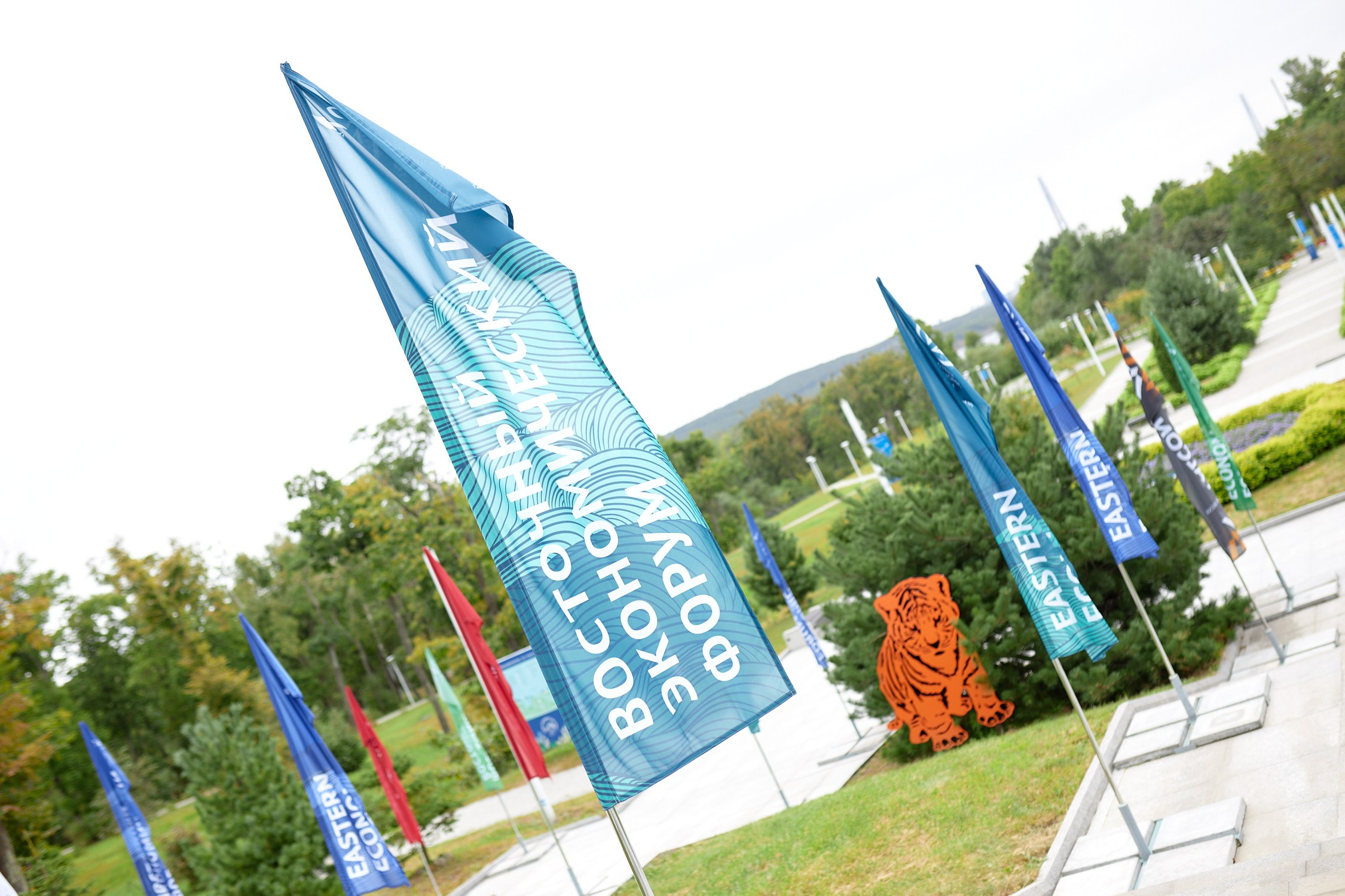 ВЭФ 2023. Репортажный фотограф Владивосток Анастасия Сокольникова