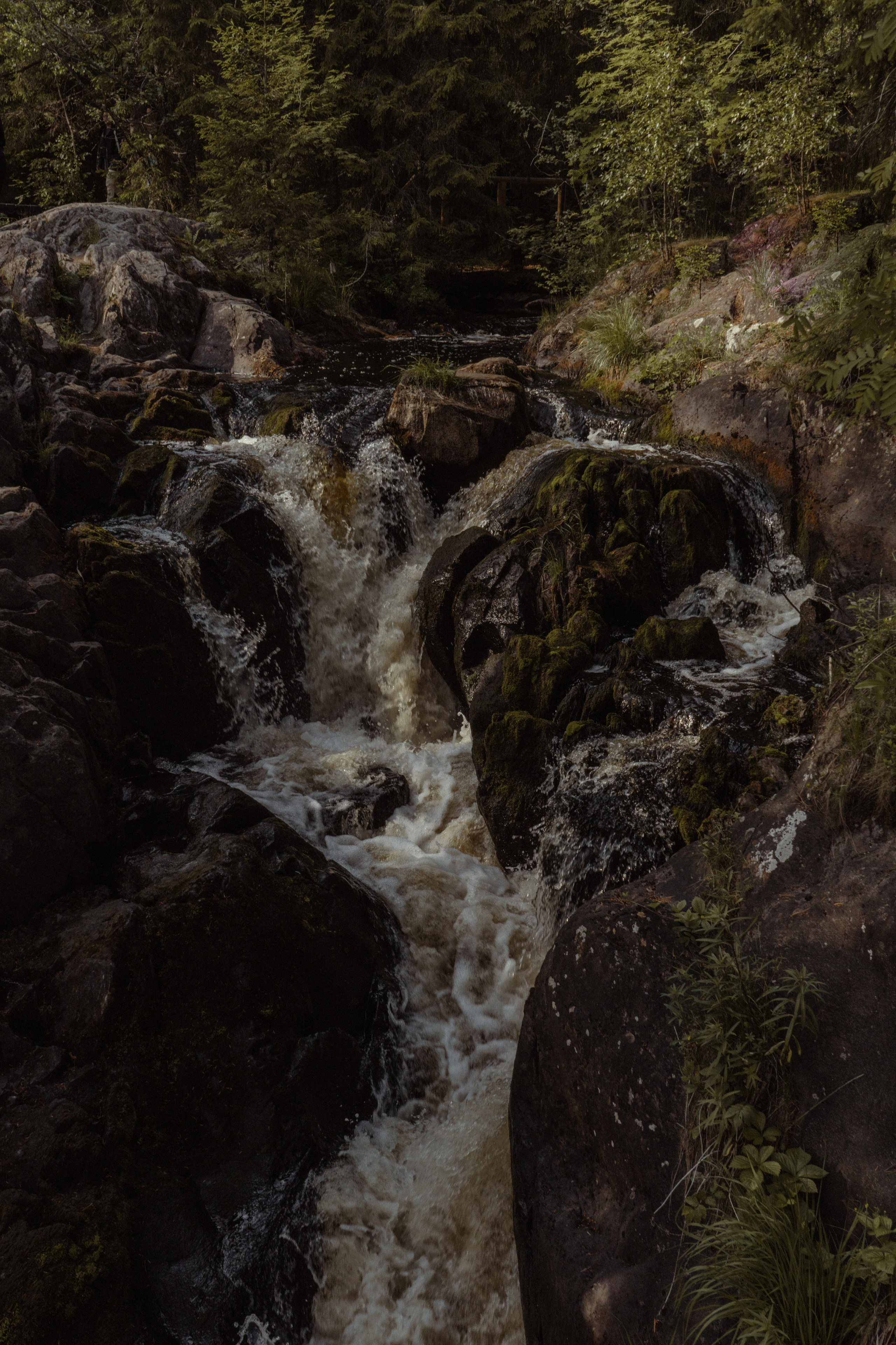 Фотограф предметной съемки, контент-фотограф, ретушер
