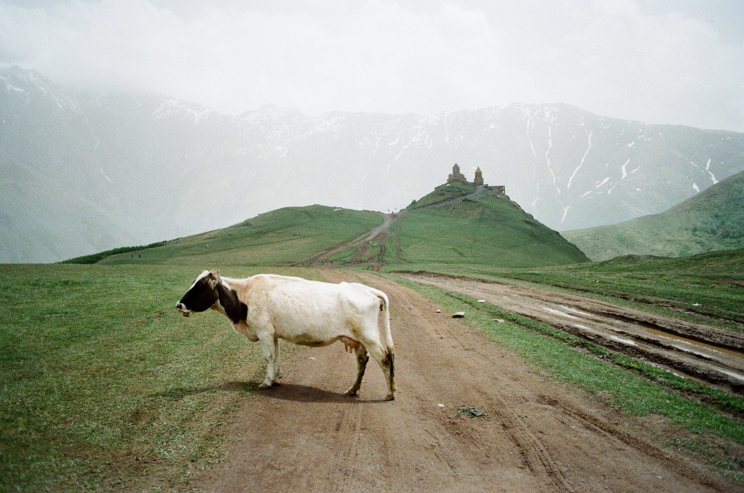 Georia Colour. Aleksander Chernov — Documentary filmmaker and photographer