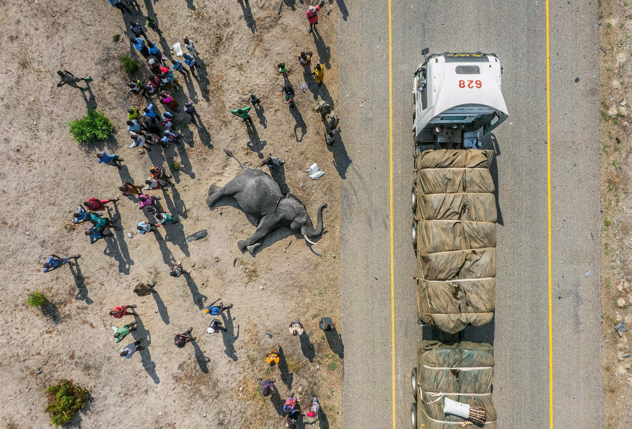 2024 год в объективе фотографов National Geographic. Фотограф Михаил Мордасов, Сочи. Мероприятия, портреты, спорт, репортаж