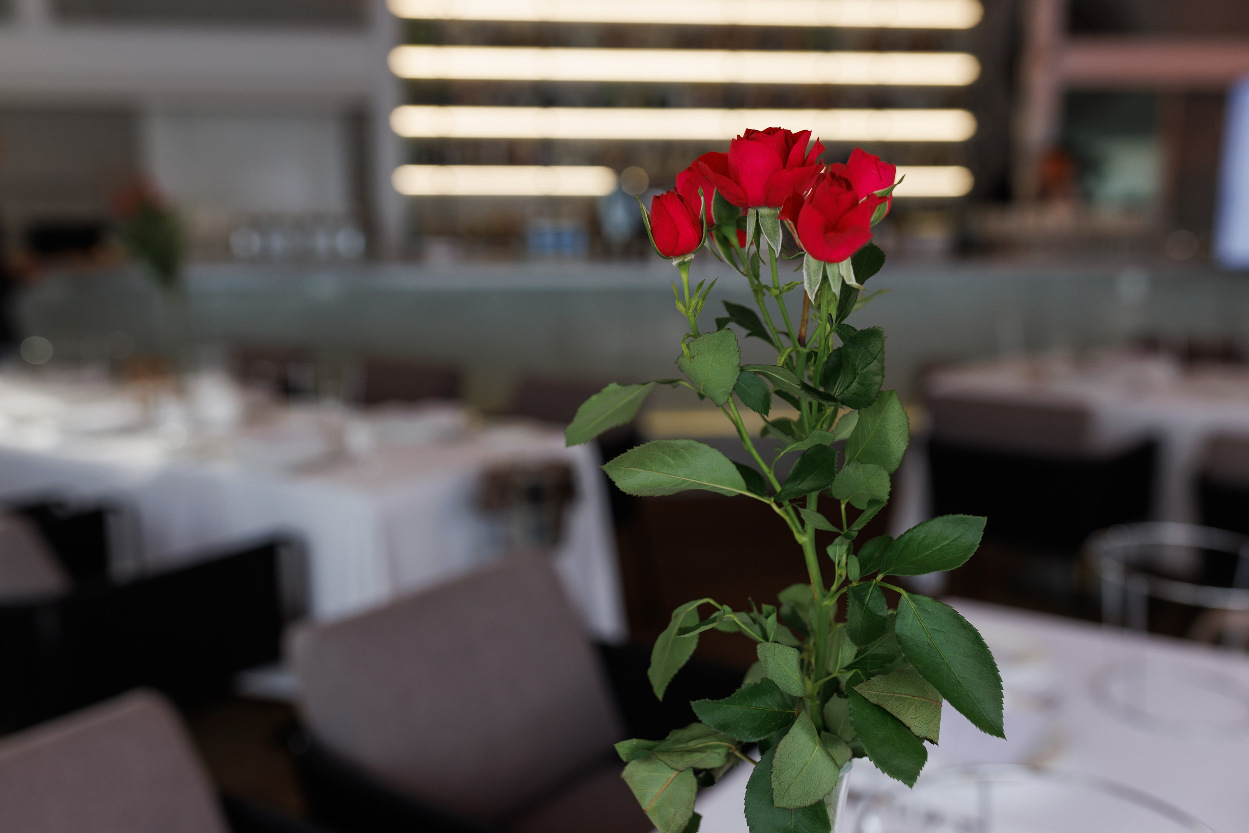 День рождения. Главная