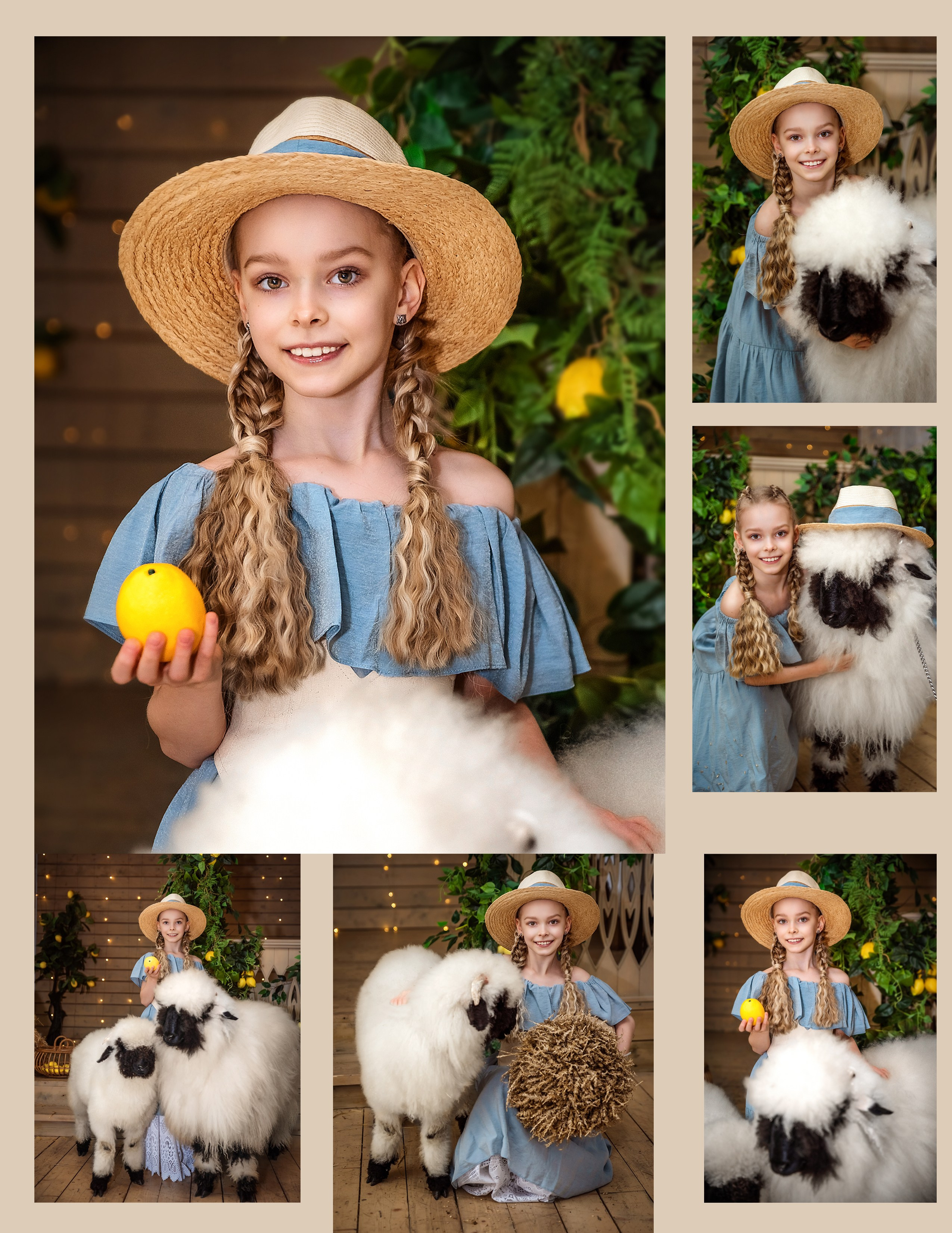 Овечки. Фотограф в Москве Lidiya_Li_Photo